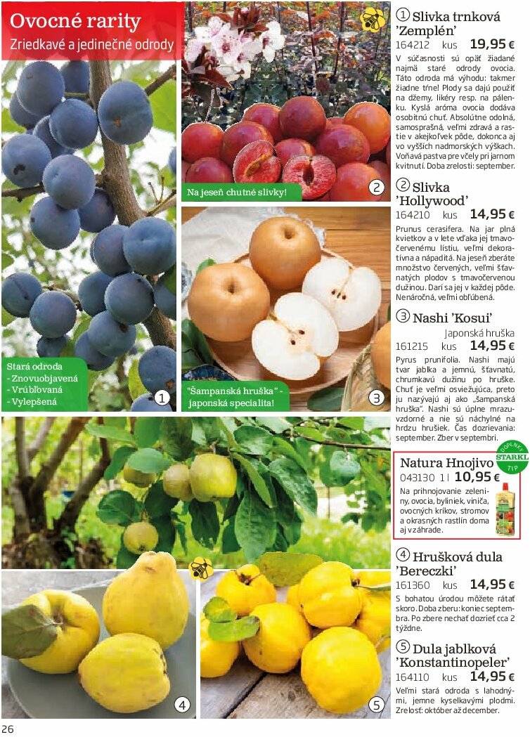 starkl - Leták Starkl platný od 01.08. do 31.10. - page: 26