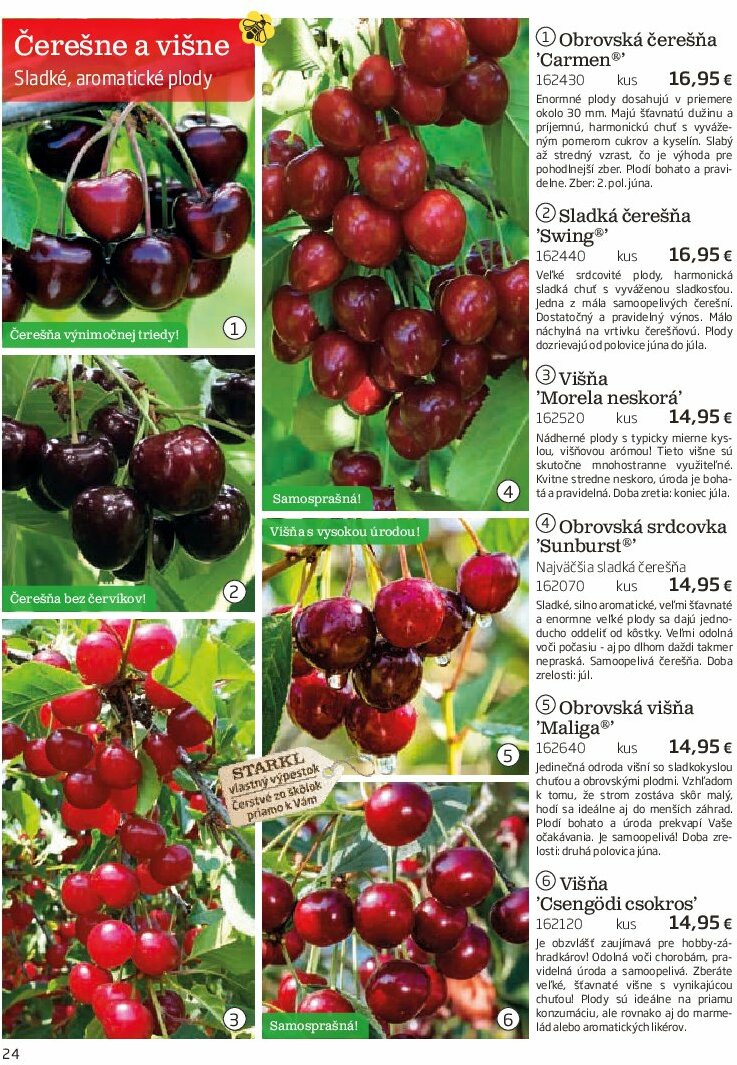 starkl - Leták Starkl platný od 01.08. do 31.10. - page: 24