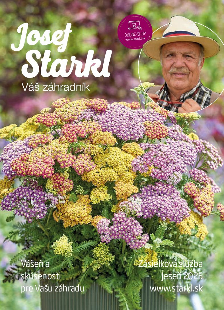 starkl - Leták Starkl platný od 01.08. do 31.10. - page: 1