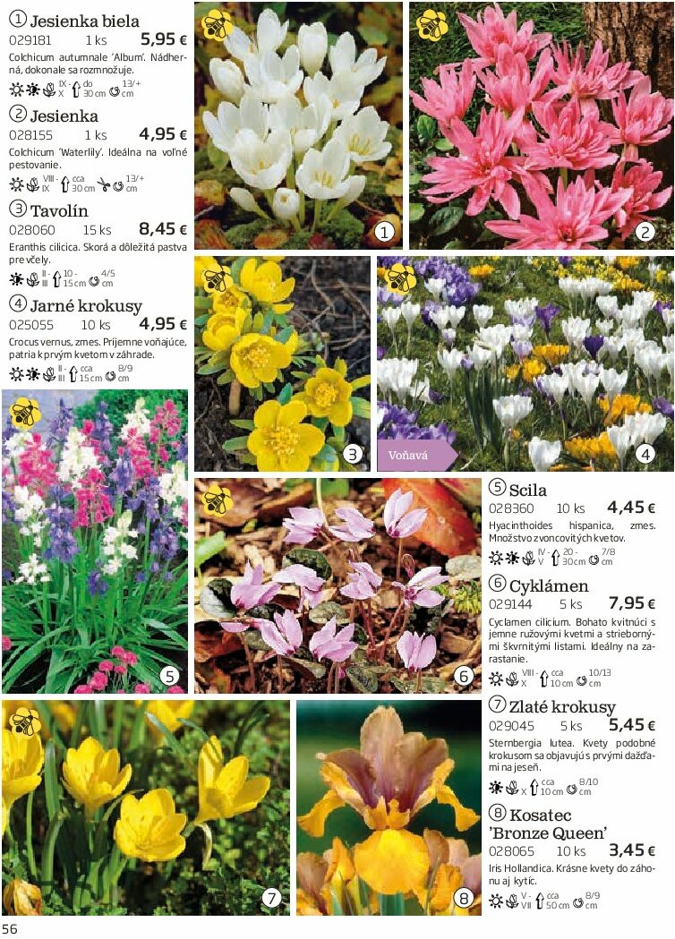 starkl - Leták Starkl platný od 01.08. do 31.10. - page: 56