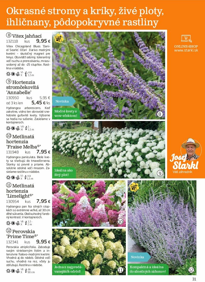 starkl - Leták Starkl platný od 01.08. do 31.10. - page: 31