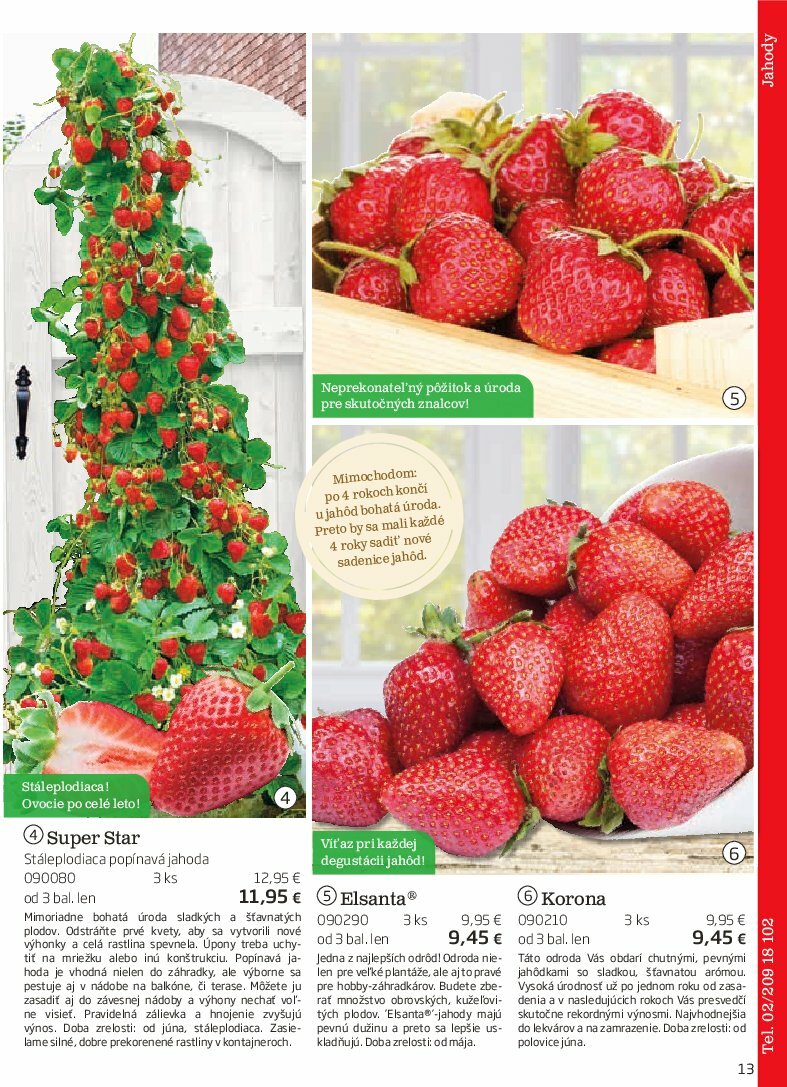 starkl - Leták Starkl platný od 01.08. do 31.10. - page: 13