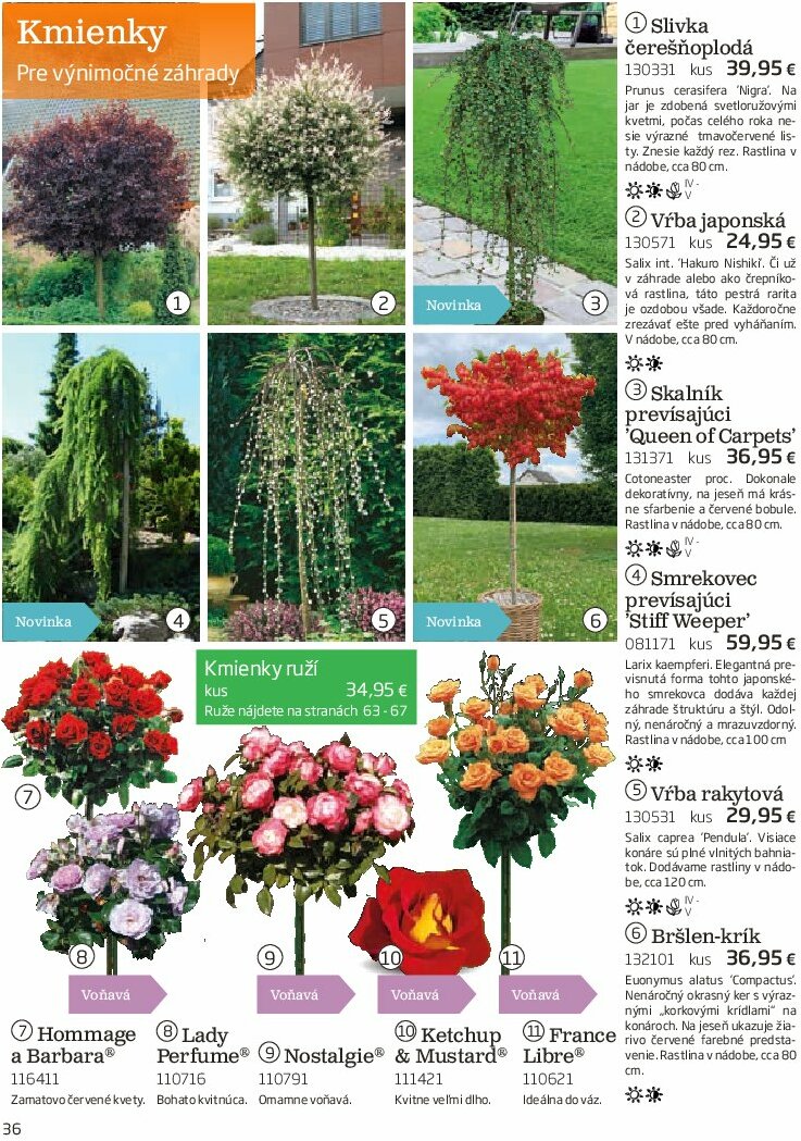 starkl - Leták Starkl platný od 01.08. do 31.10. - page: 36