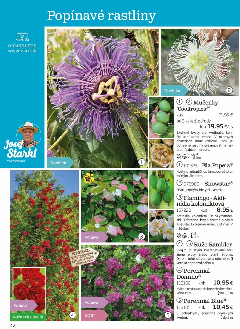 starkl - Leták Starkl platný od 01.08. do 31.10. - page: 42