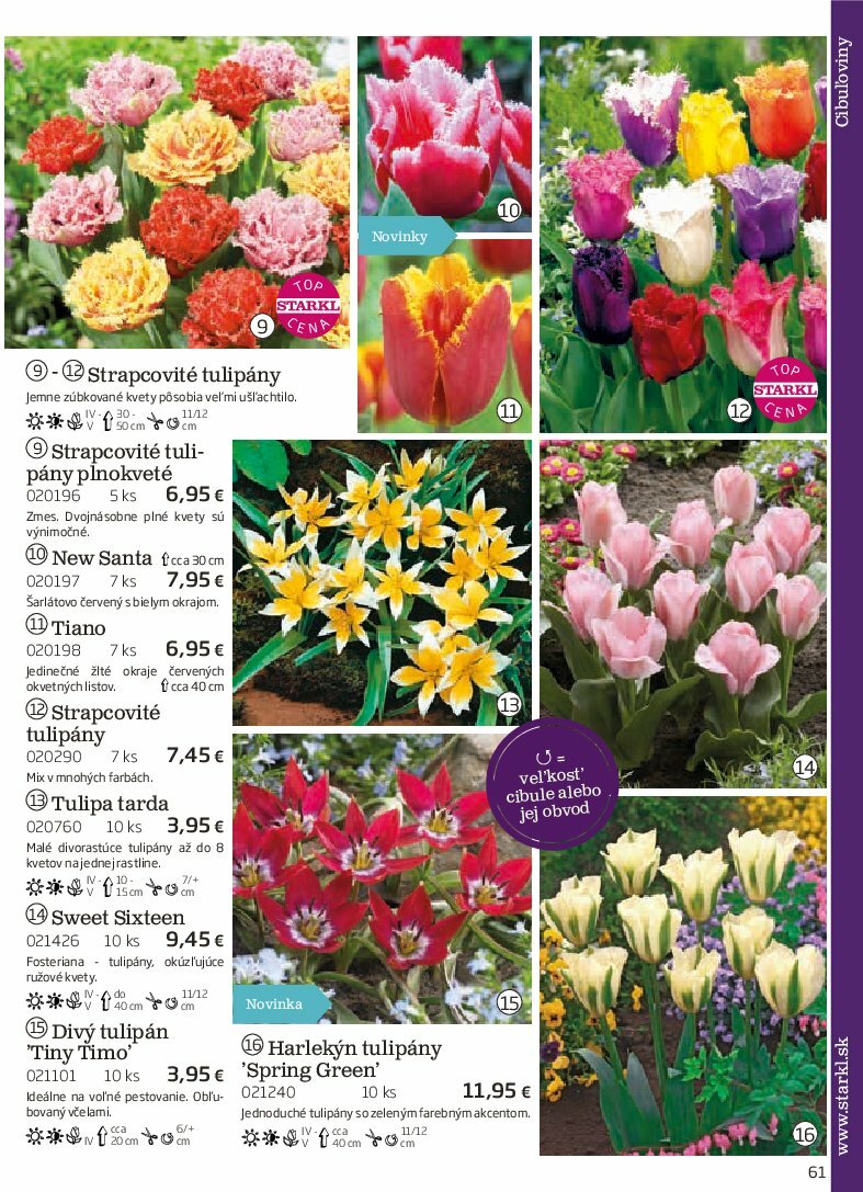 starkl - Leták Starkl platný od 01.08. do 31.10. - page: 61