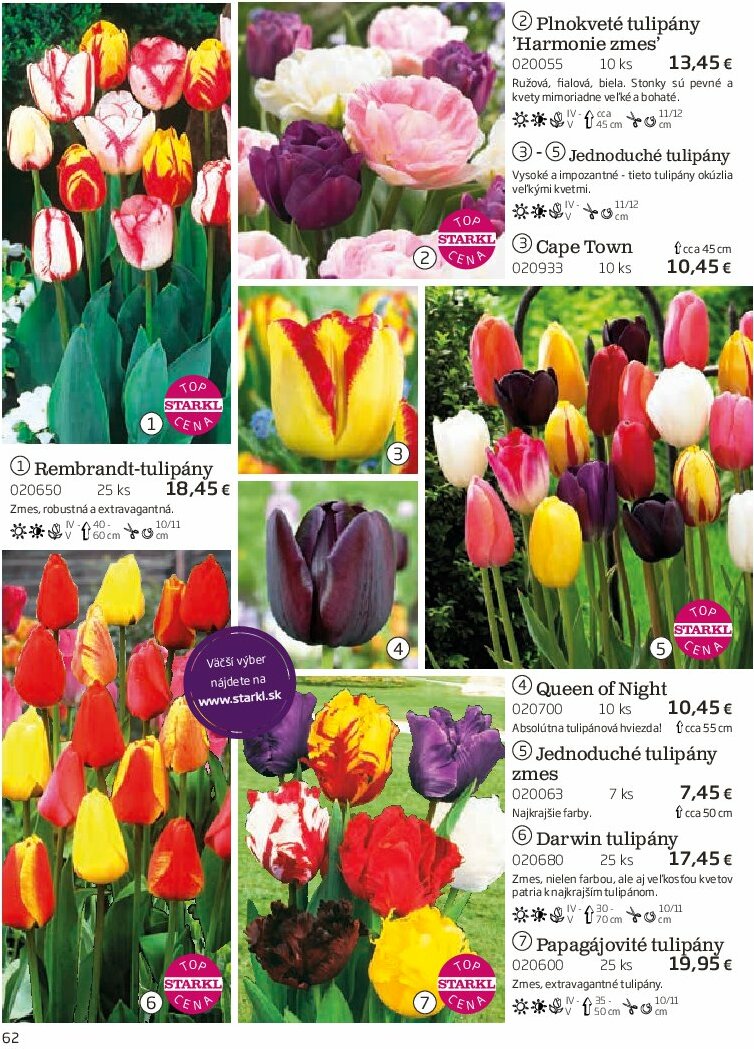 starkl - Leták Starkl platný od 01.08. do 31.10. - page: 62