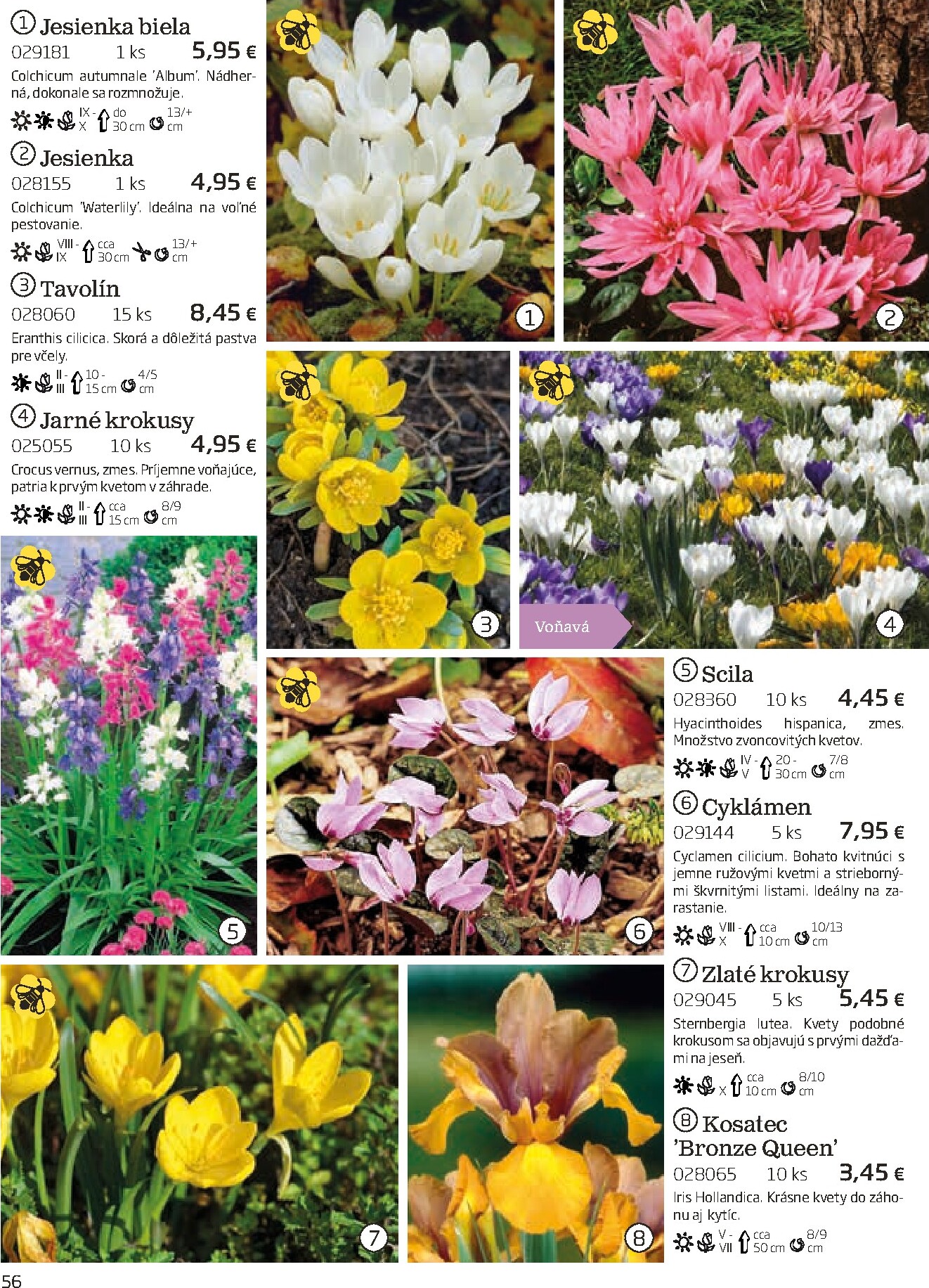 starkl - Leták Starkl platný od 01.03.2026 do 30.06.2026 - page: 56