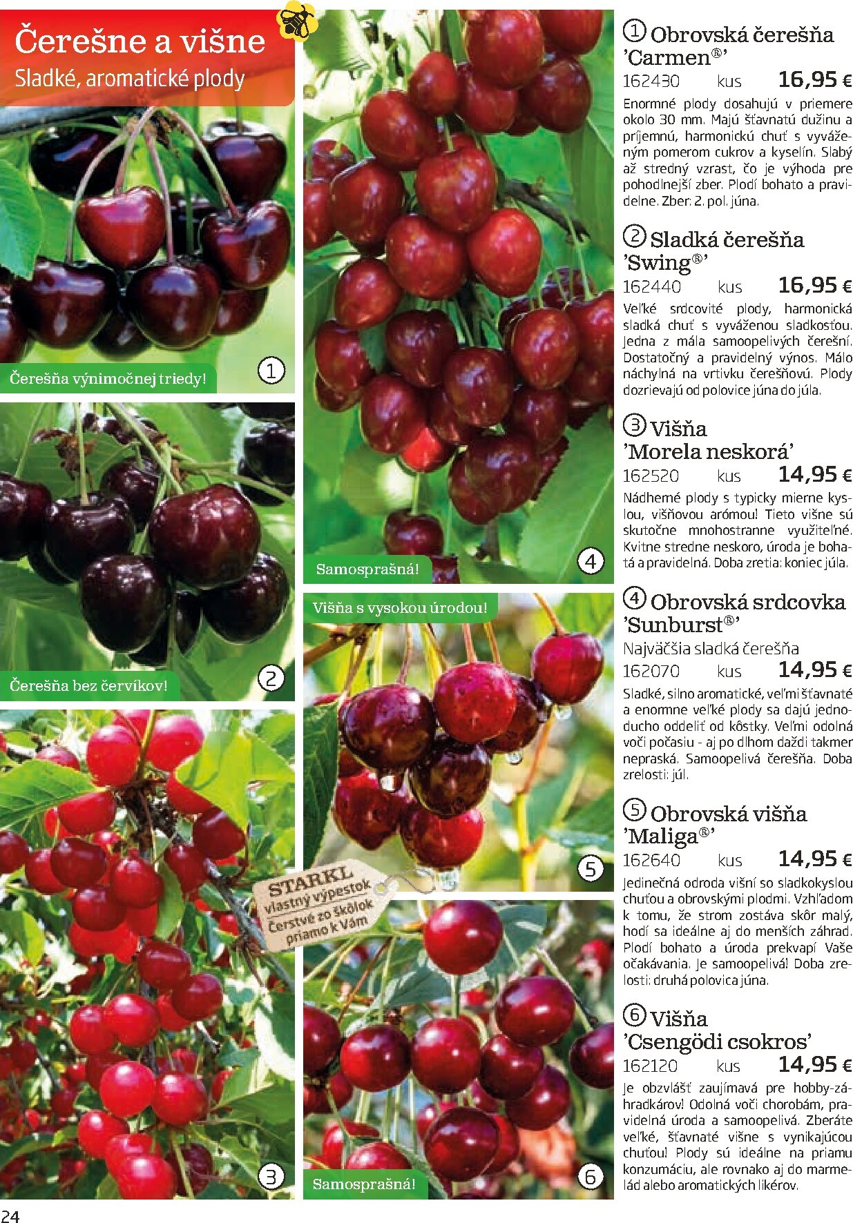 starkl - Leták Starkl platný od 01.03.2026 do 30.06.2026 - page: 24