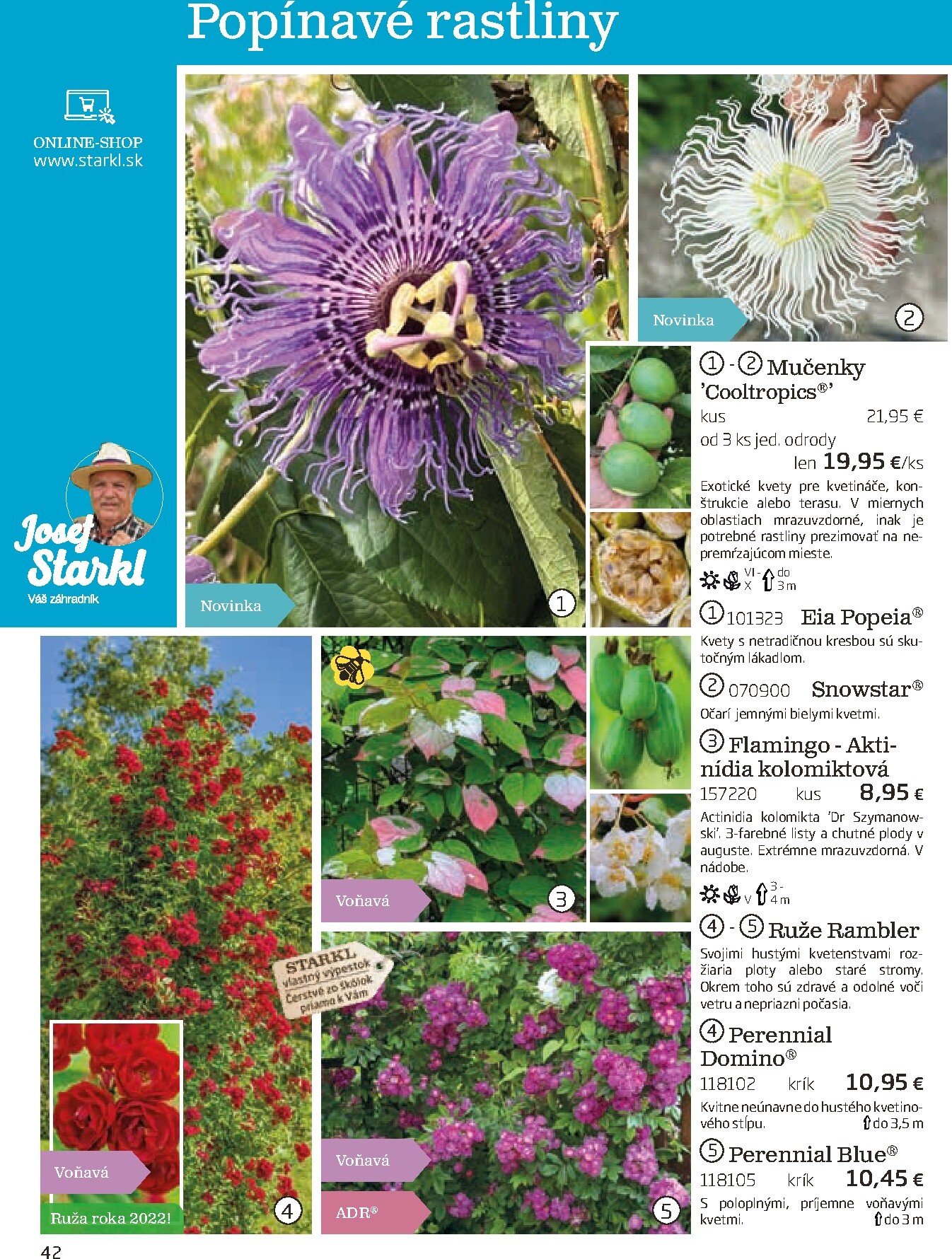 starkl - Leták Starkl platný od 01.03.2026 do 30.06.2026 - page: 42