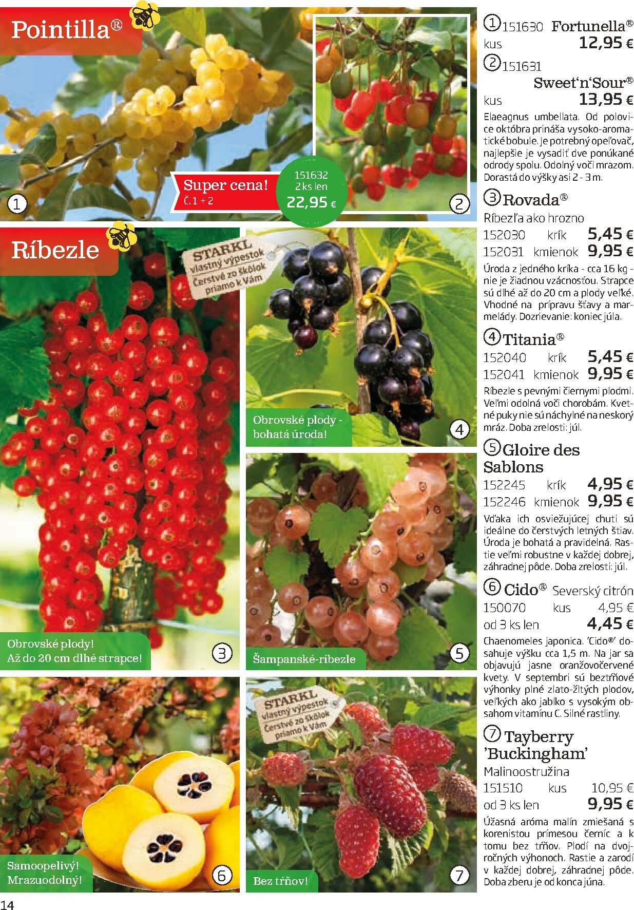 starkl - Leták Starkl platný od 01.03.2026 do 30.06.2026 - page: 14