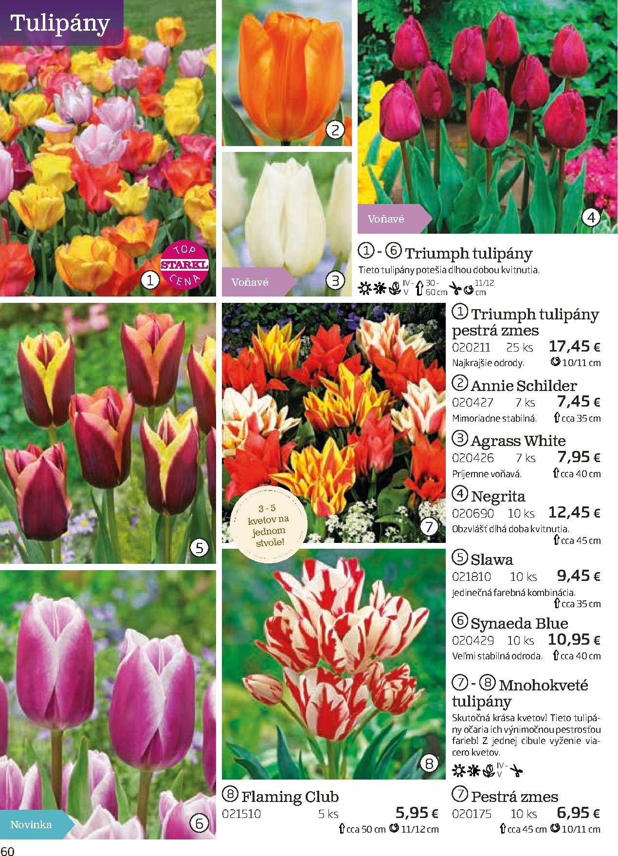 starkl - Leták Starkl platný od 01.03.2026 do 30.06.2026 - page: 60