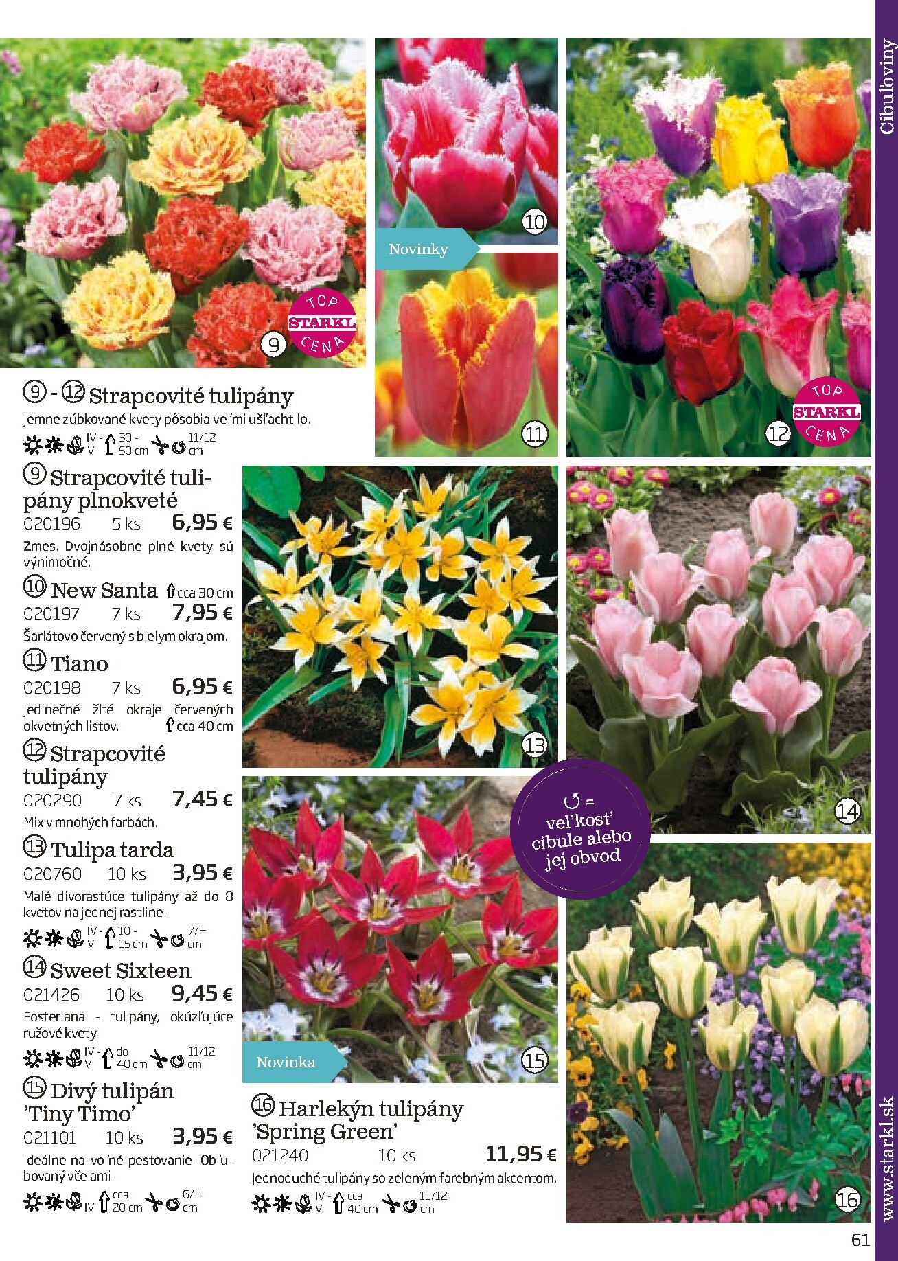 starkl - Leták Starkl platný od 01.03.2026 do 30.06.2026 - page: 61