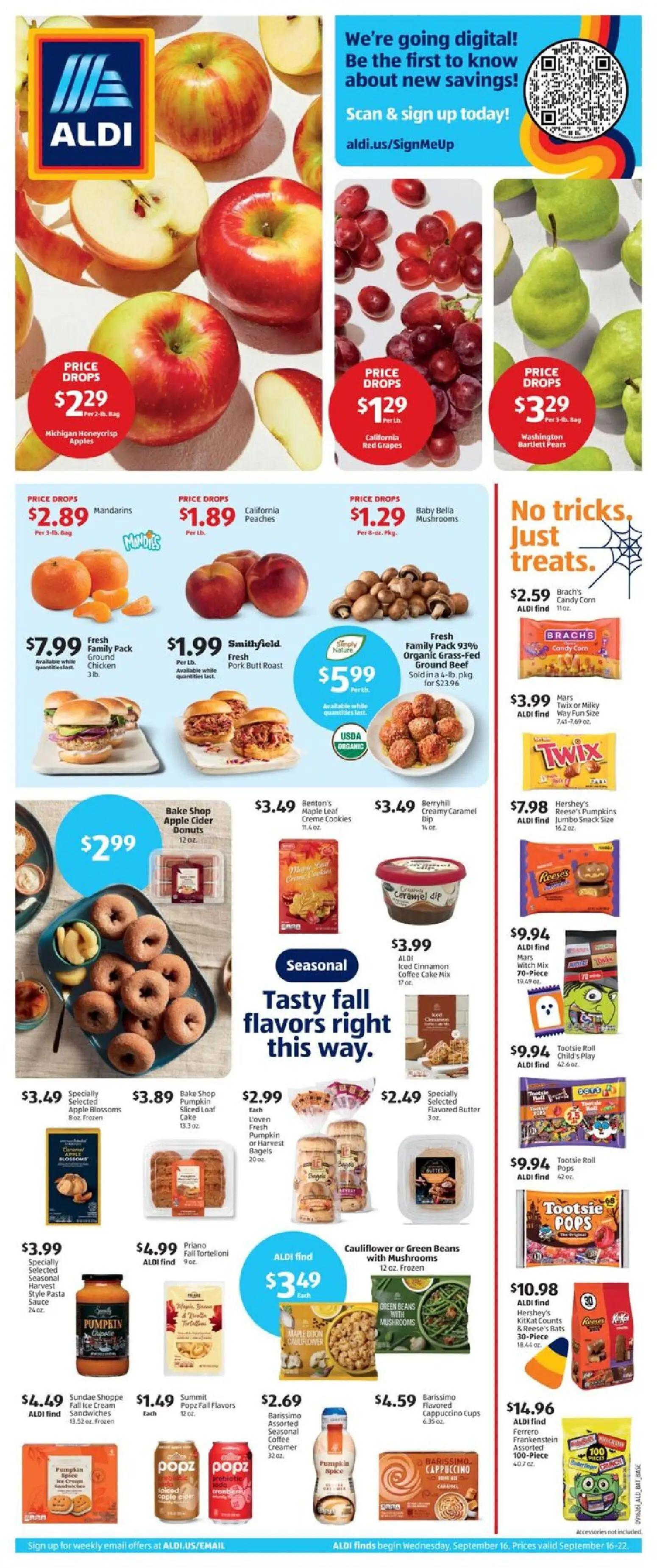 aldi - Aldi Weekly Ad - 09/16 - 09/22 2026