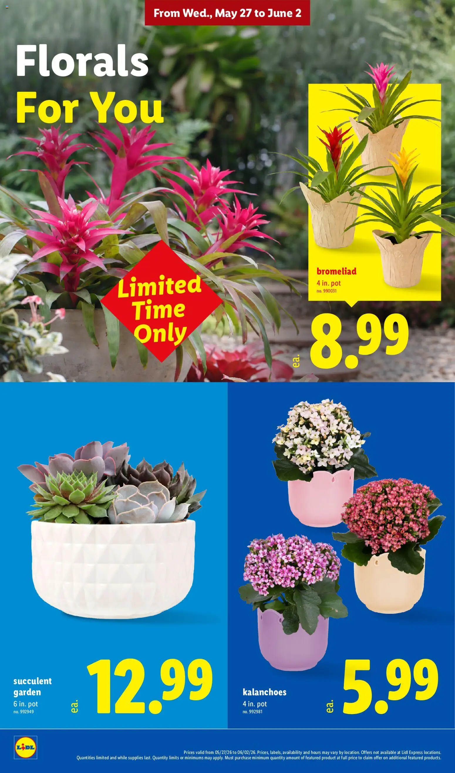 lidl - Lidl Weekly Ad - 05/27 - 06/02 2026 - page: 30