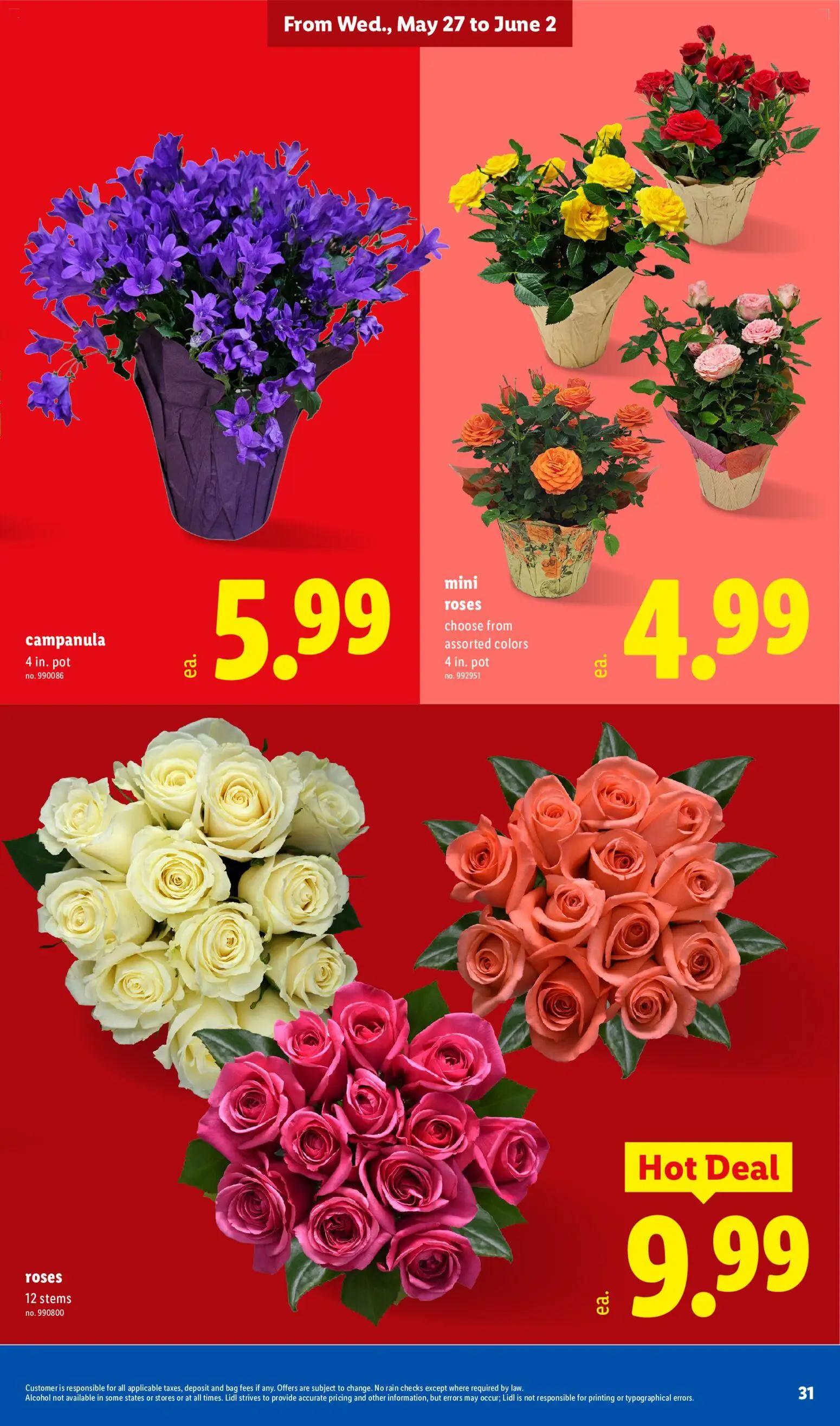 lidl - Lidl Weekly Ad - 05/27 - 06/02 2026 - page: 31