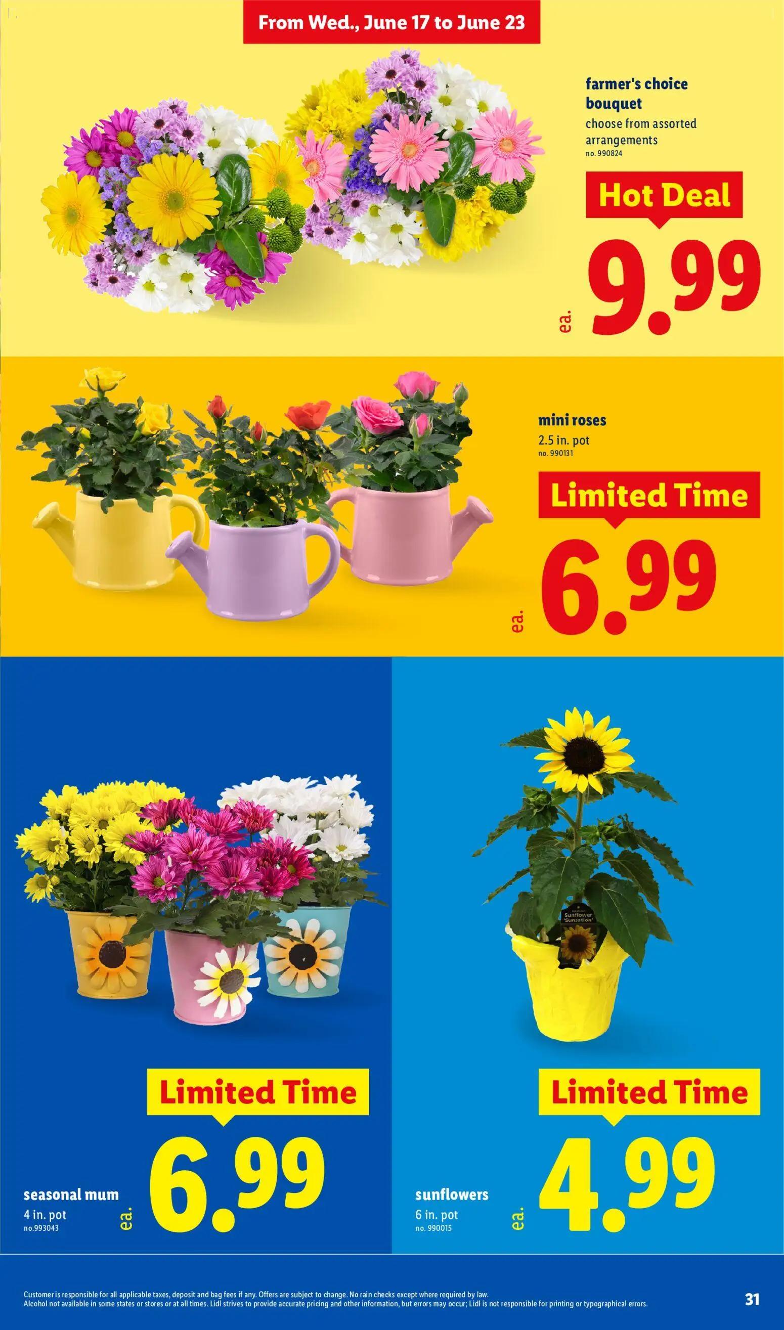lidl - Lidl Weekly Ad - 06/17 - 06/23 2026 - page: 31