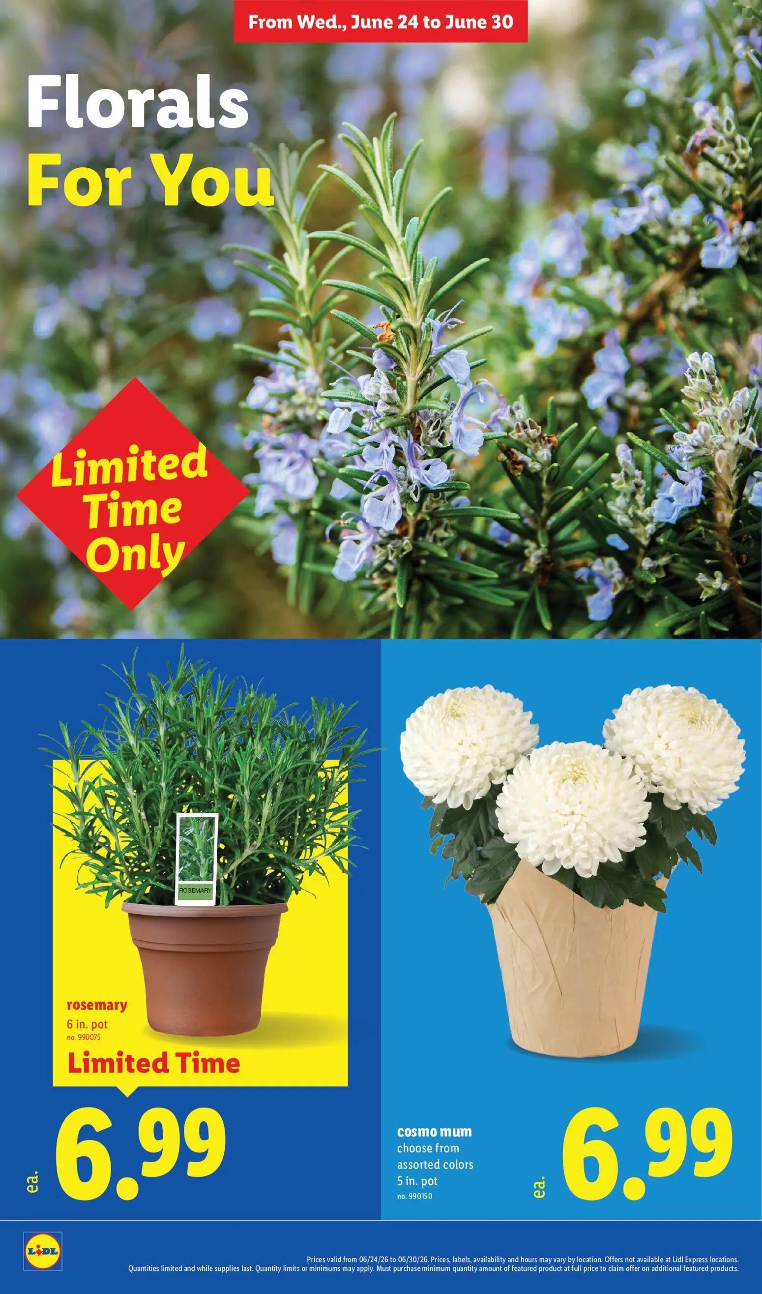 lidl - Lidl Weekly Ad - 06/24 - 06/30 2026 - page: 30