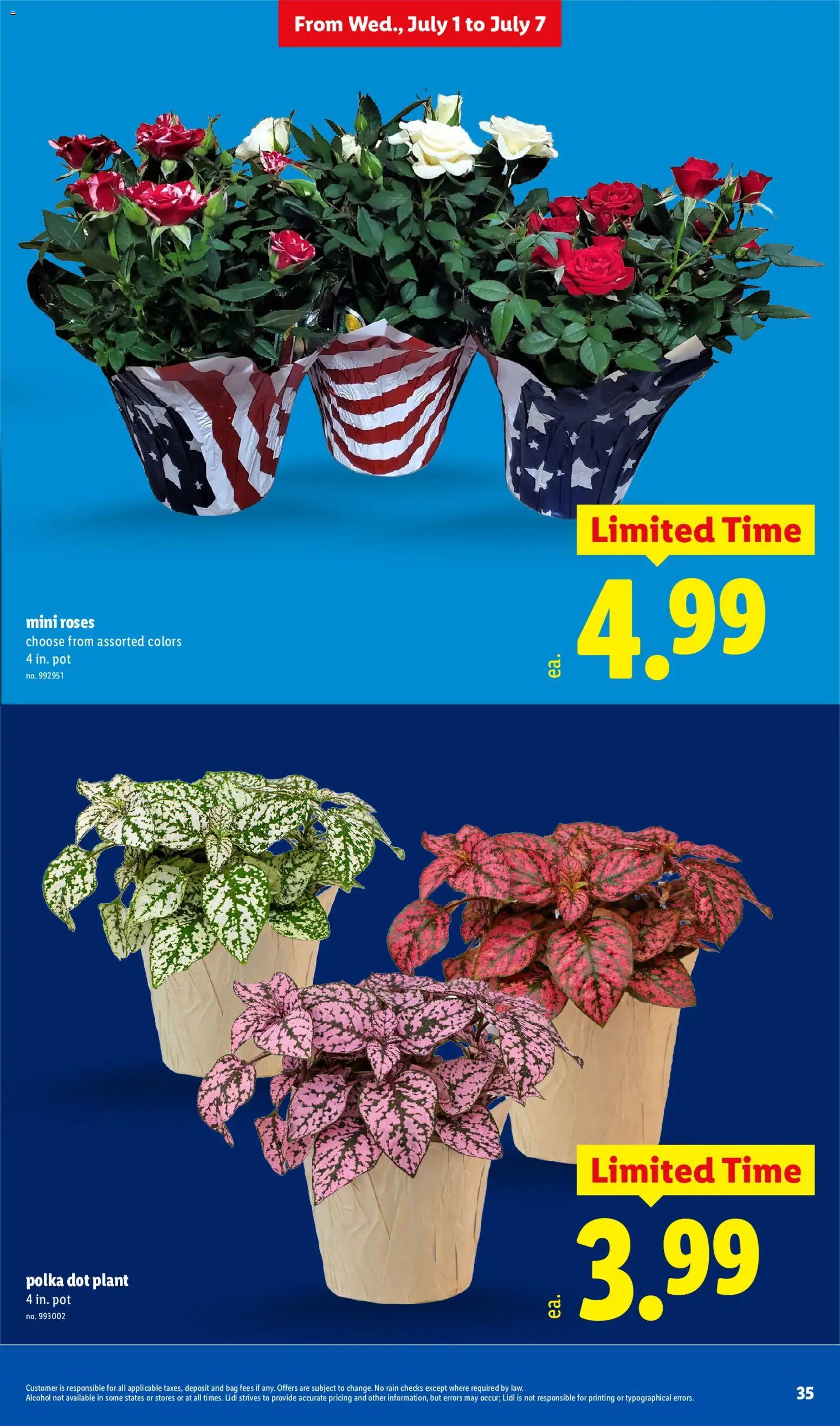 lidl - Lidl Weekly Ad - 07/01 - 07/07 2026 - page: 35