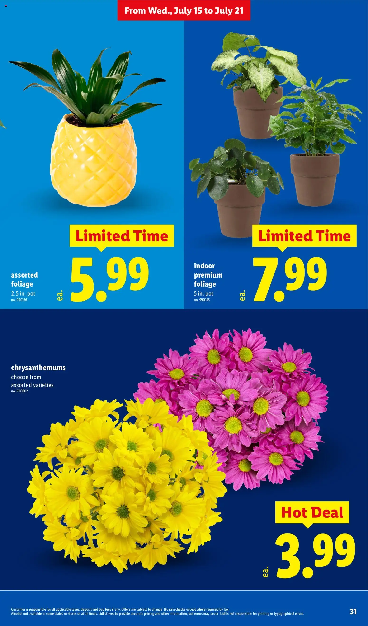 lidl - Lidl Weekly Ad - 07/15 - 07/21 2026 - page: 31