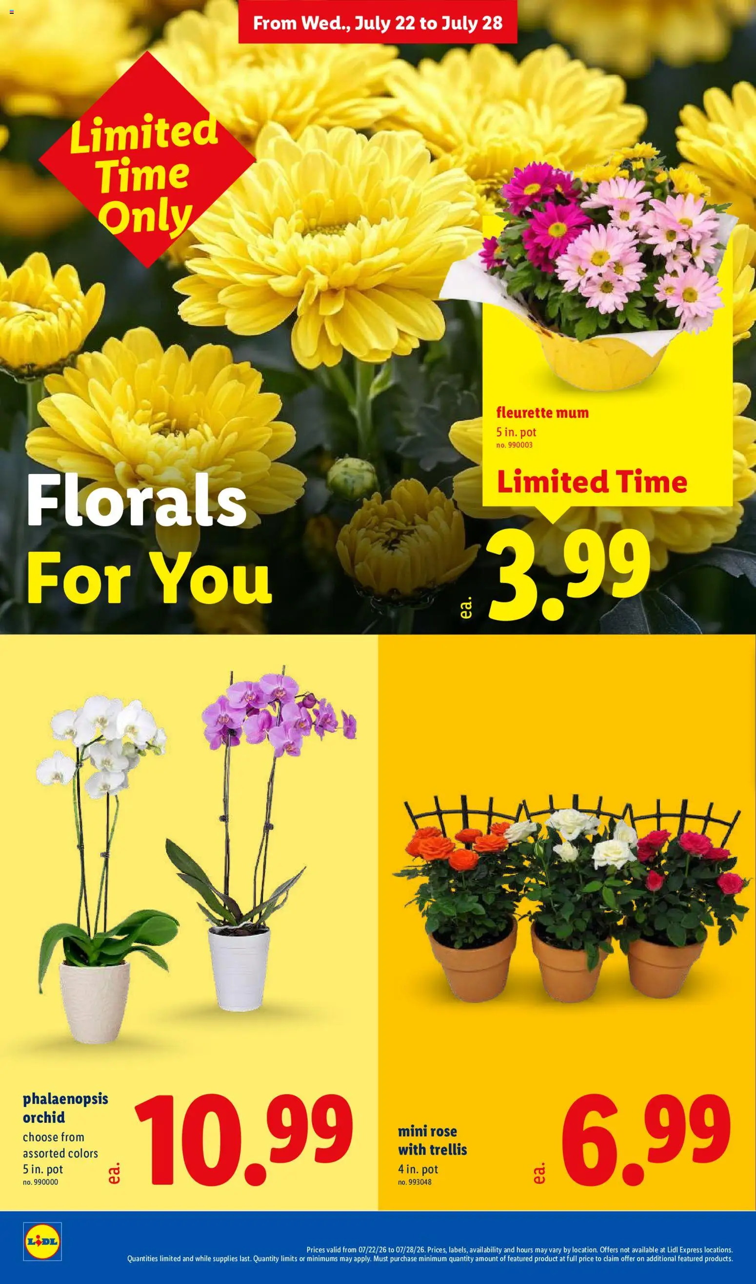 lidl - Lidl Weekly Ad - 07/22 - 07/28 2026 - page: 36