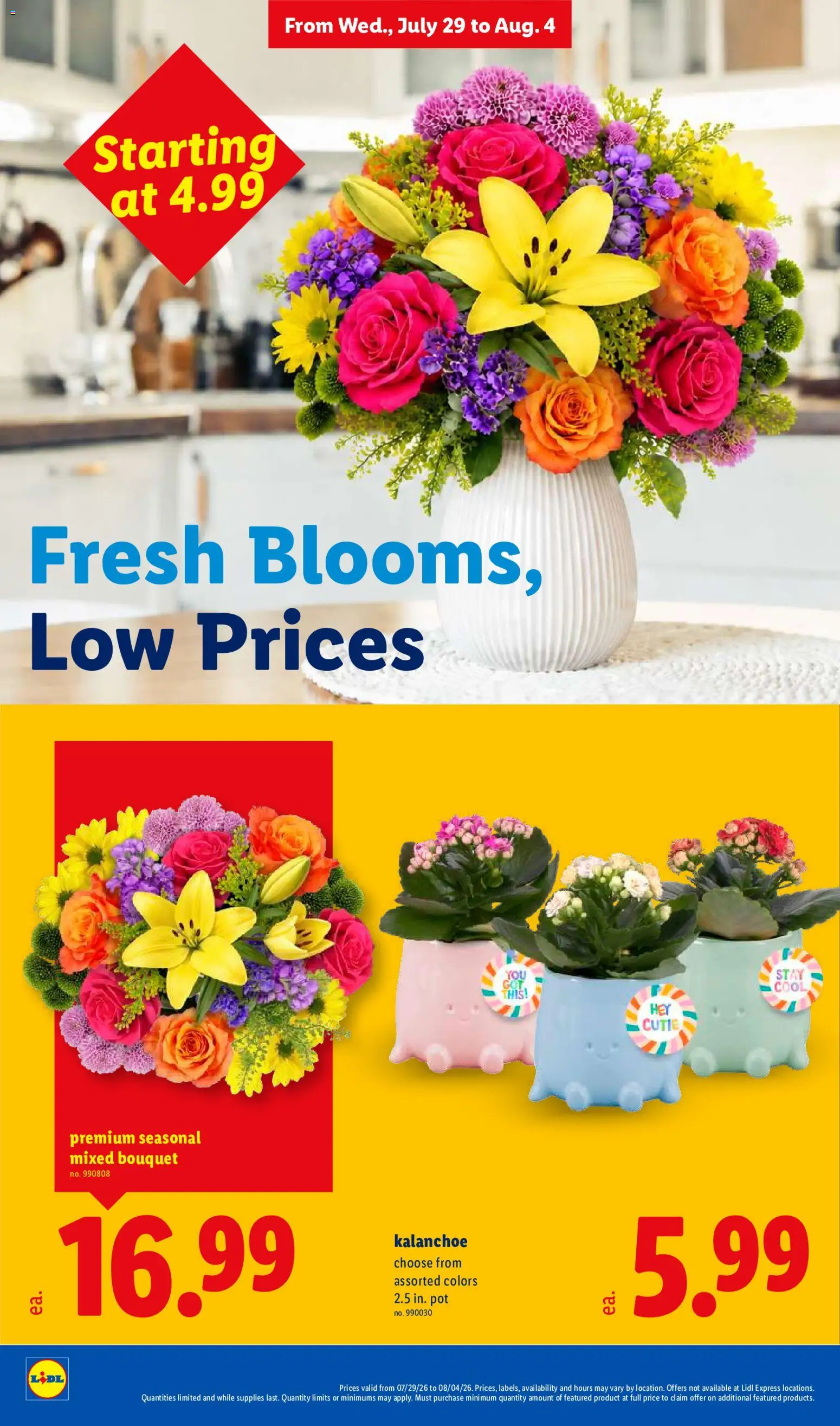 lidl - Lidl Weekly Ad - 07/29 - 08/04 2026 - page: 34