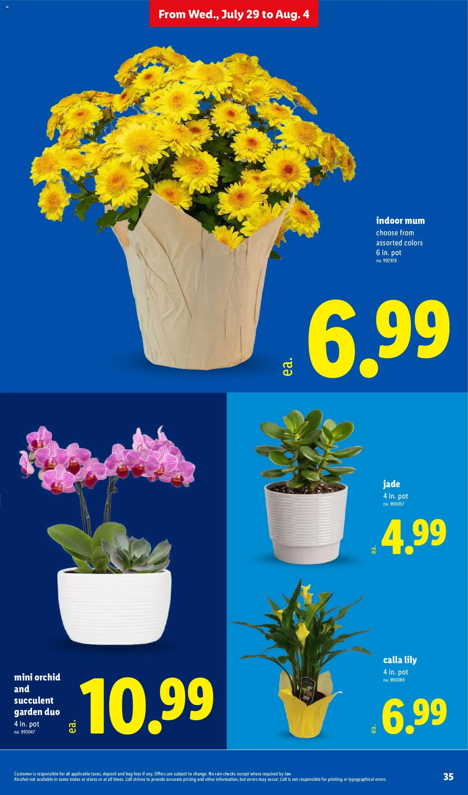 lidl - Lidl Weekly Ad - 07/29 - 08/04 2026 - page: 35