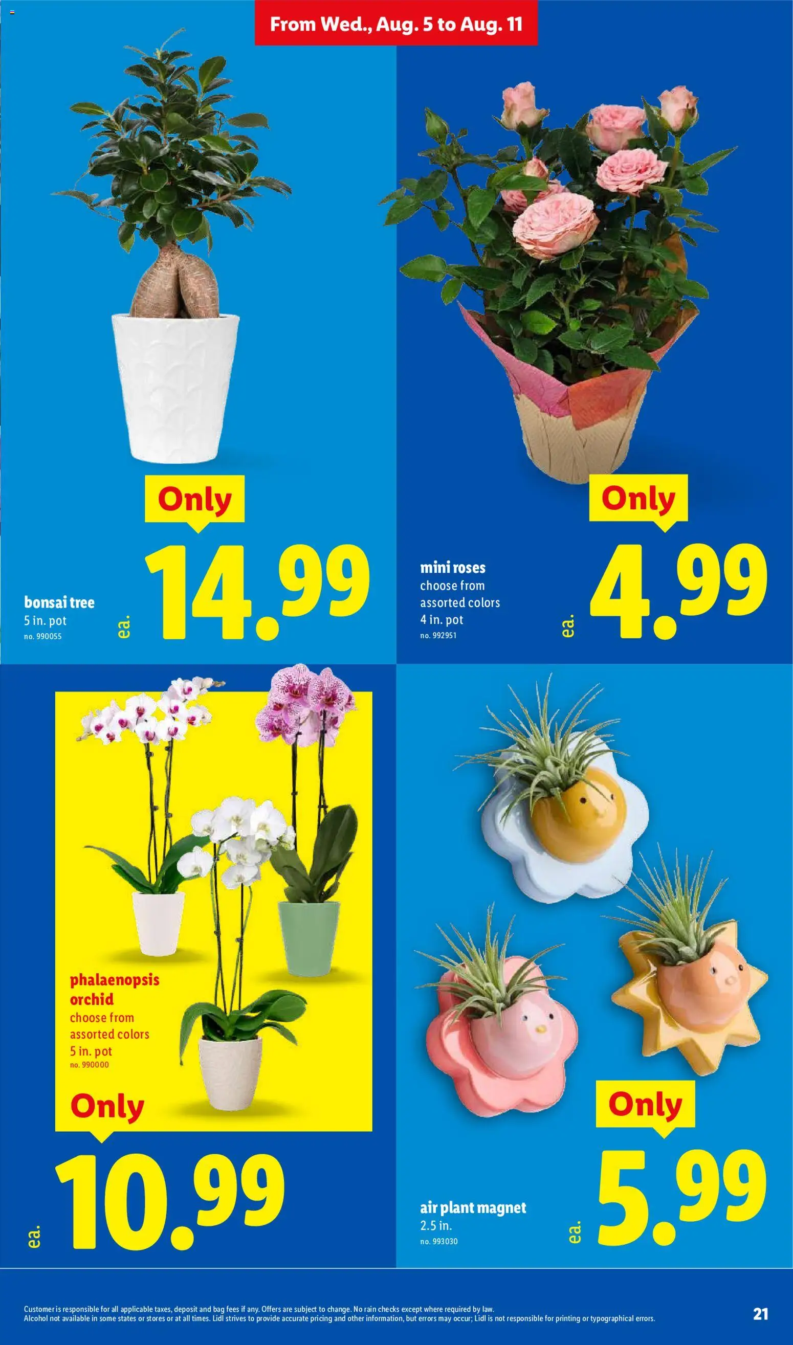 lidl - Lidl Weekly Ad - 08/05 - 08/11 2026 - page: 21