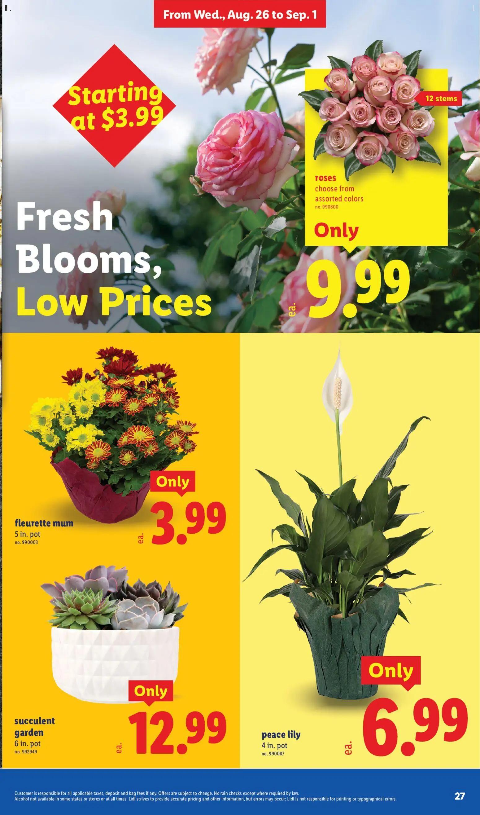 lidl - Lidl Weekly Ad - 08/26 - 09/01 2026 - page: 27
