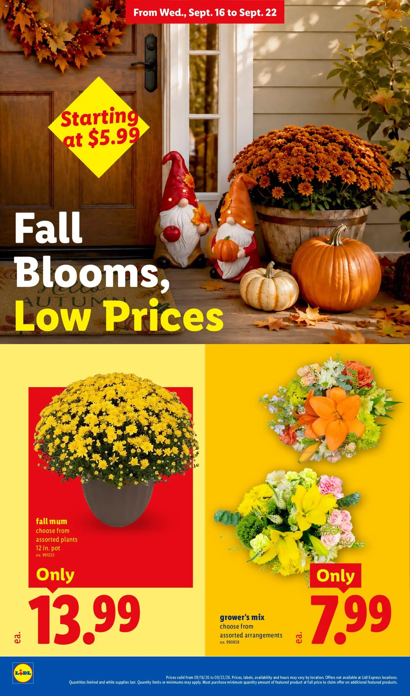lidl - Lidl Weekly Ad - 09/16 - 09/22 2026 - page: 22