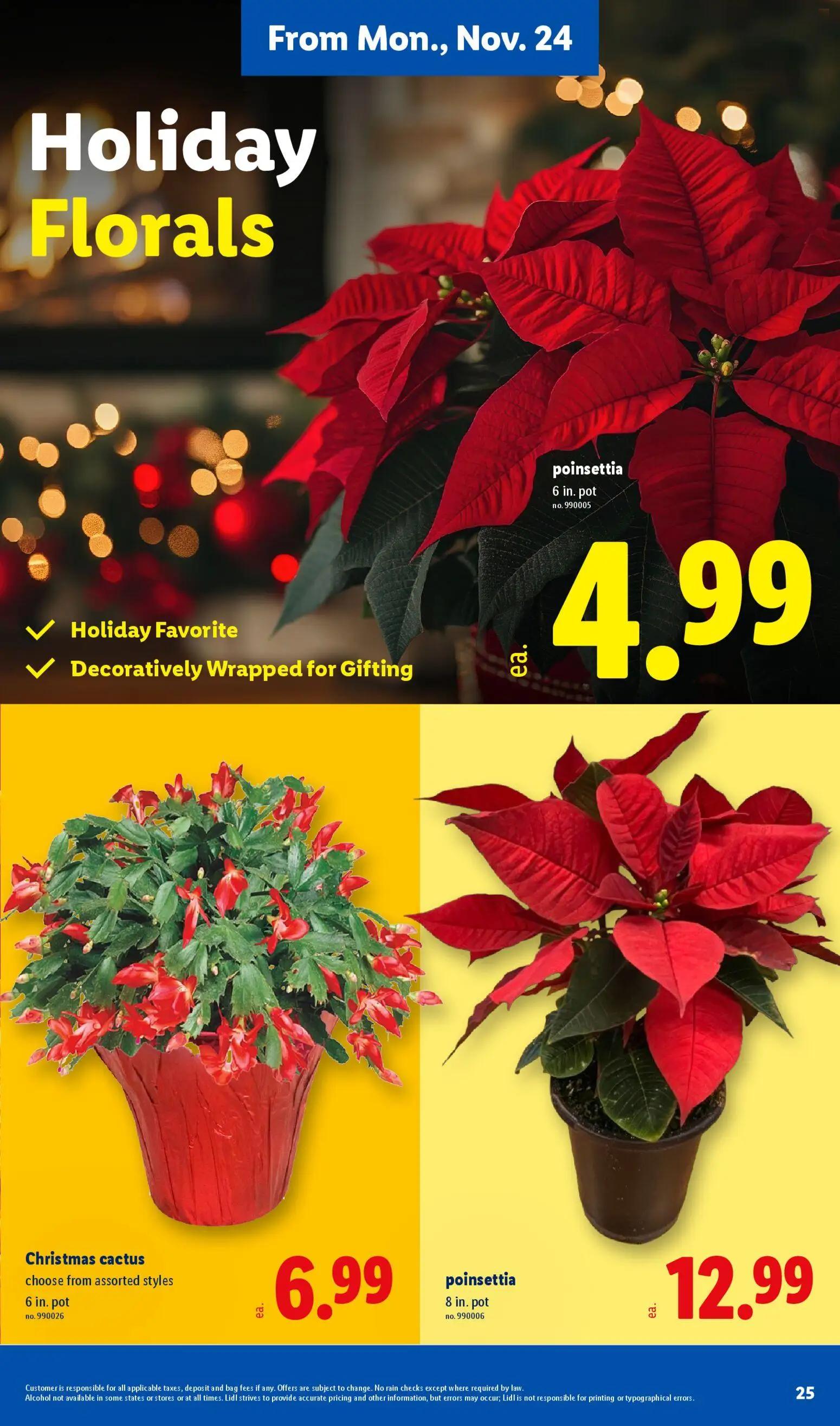 lidl - Weekly ads Lidl BLACK FRIDAY from 11/19/2025 - page: 25