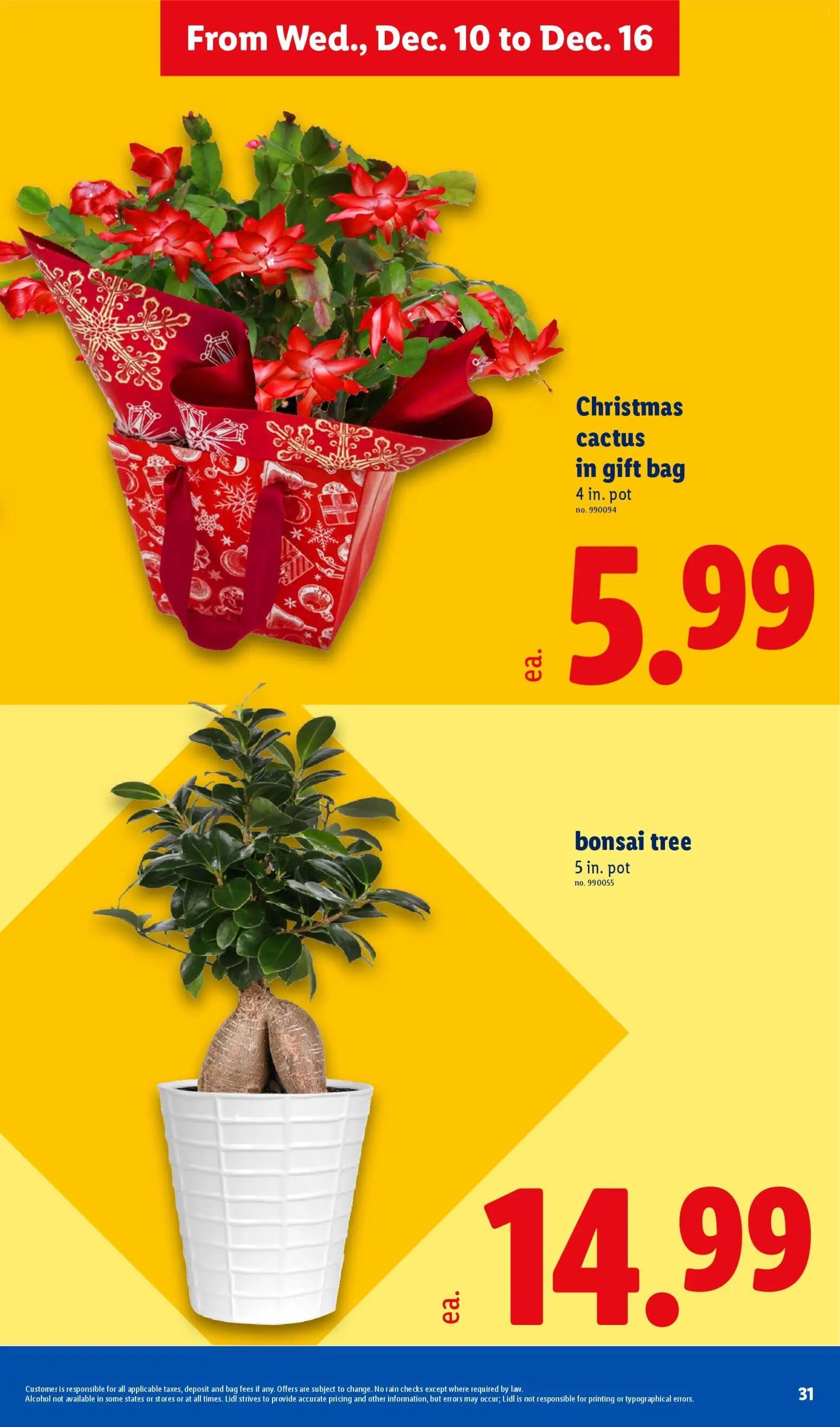 lidl - Lidl Weekly Ad - 12/10 - 12/16 2025 - page: 31