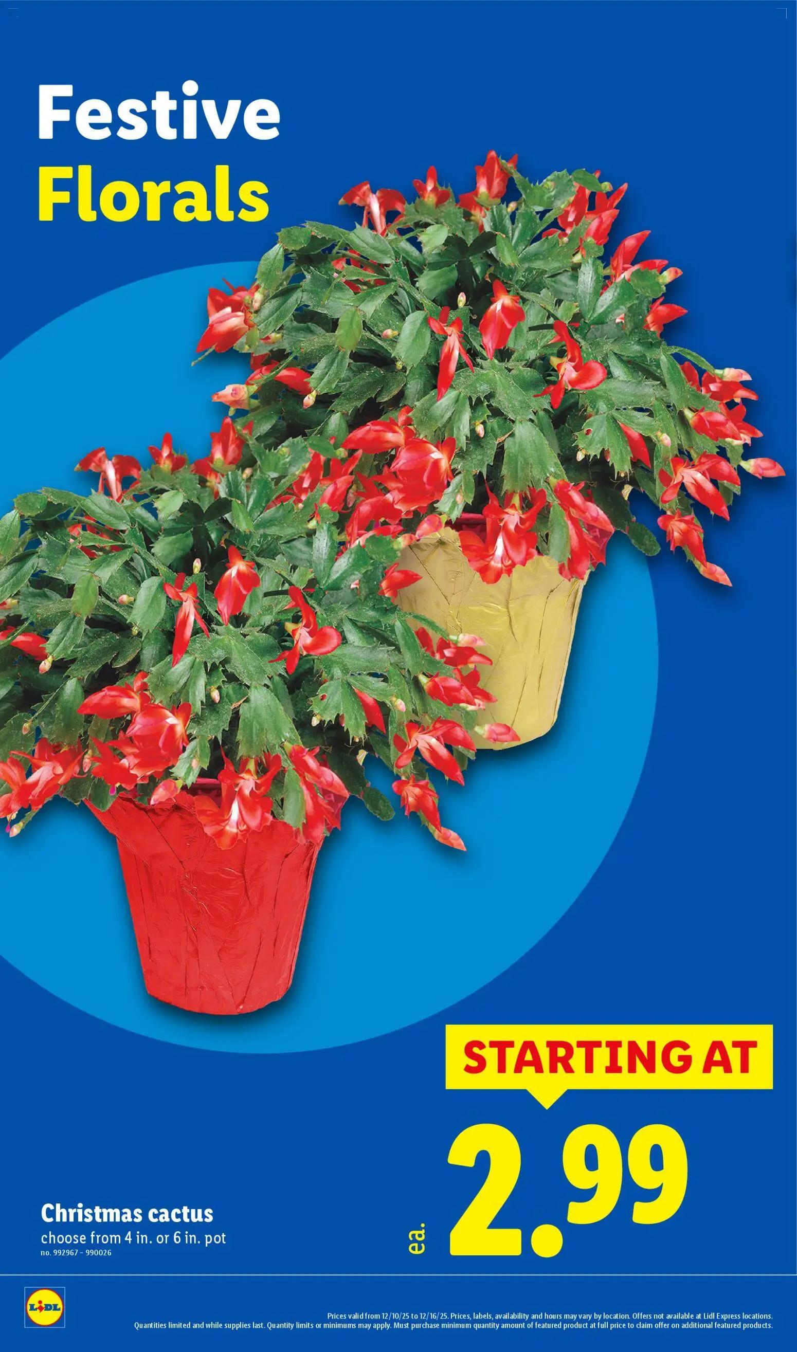 lidl - Lidl Weekly Ad - 12/10 - 12/16 2025 - page: 30