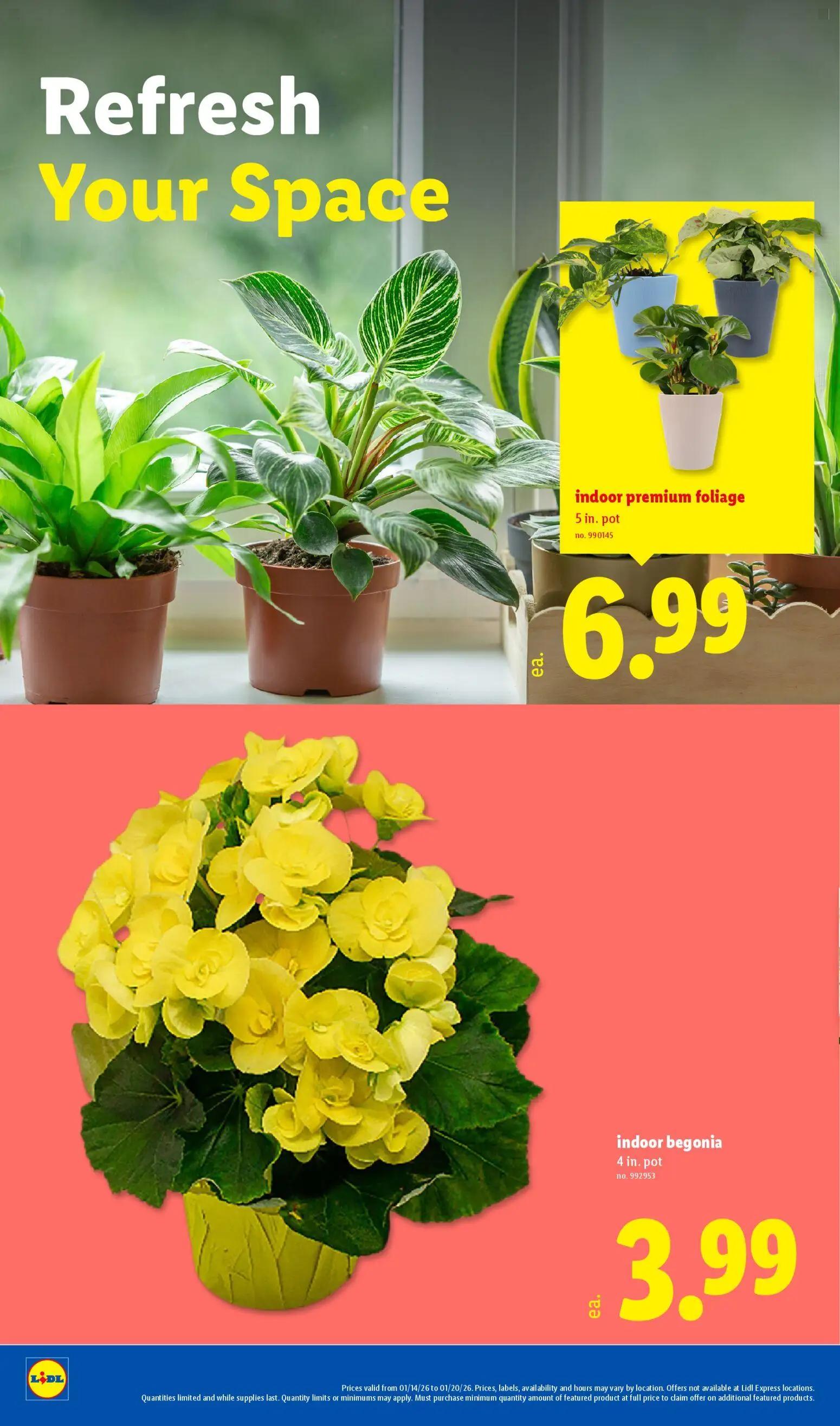 lidl - Lidl Weekly Ad - 01/14 - 01/21 2026 - page: 22