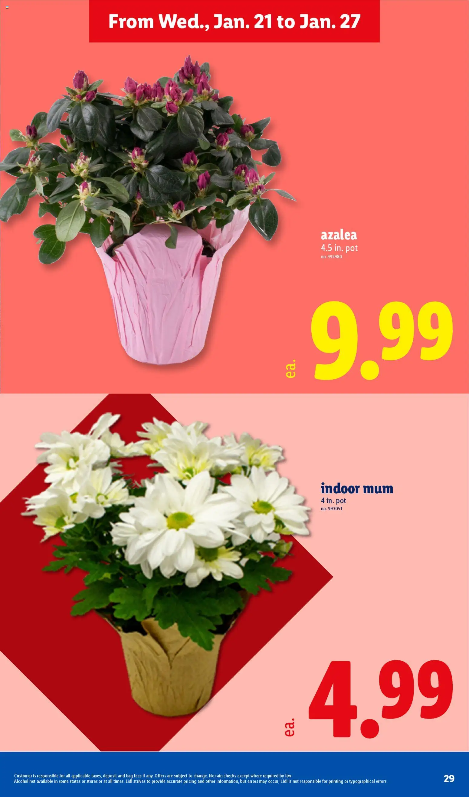 lidl - Lidl Weekly Ad - 01/21 - 01/28 2026 - page: 29
