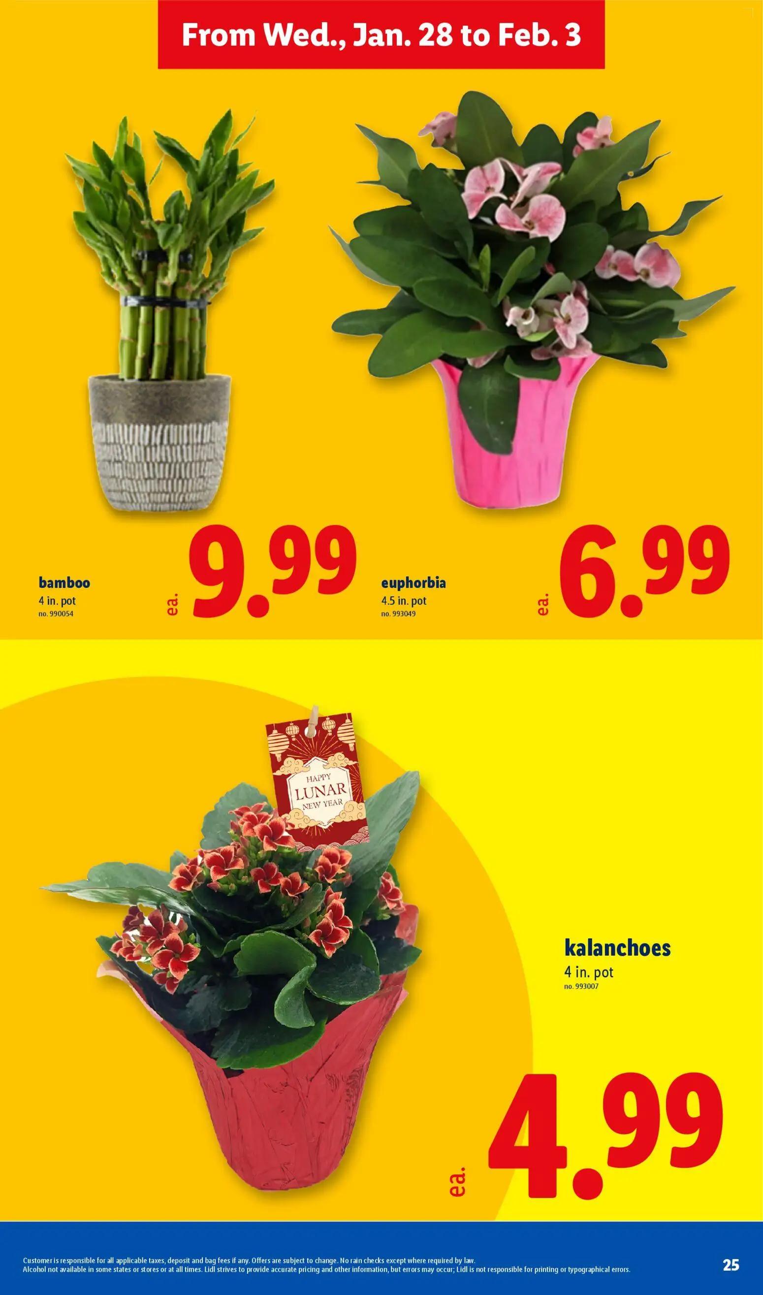 lidl - Lidl Weekly Ad - 01/28 - 02/03 2026 - page: 25