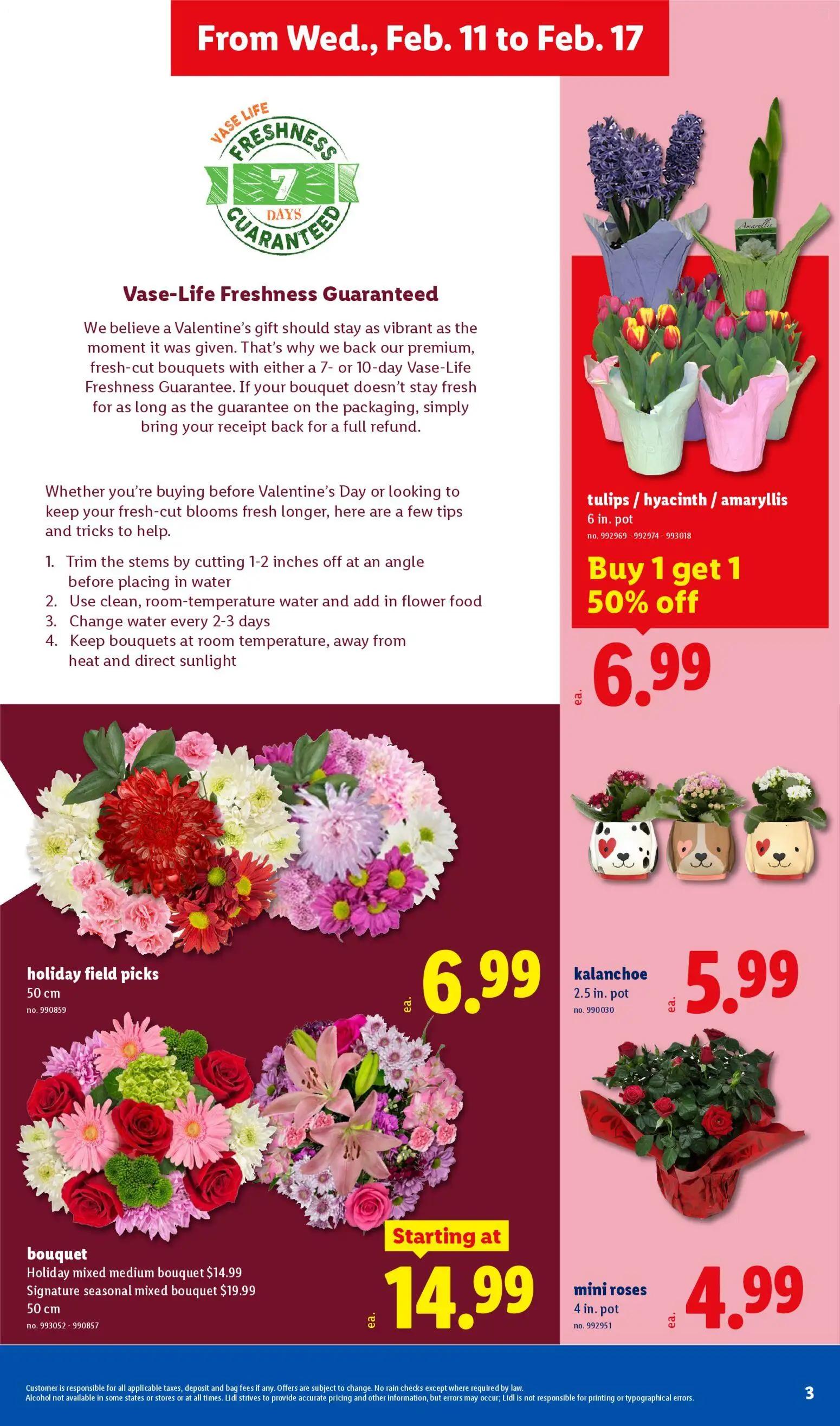 lidl - Lidl Weekly Ad - 02/11 - 02/17 2026 - page: 3