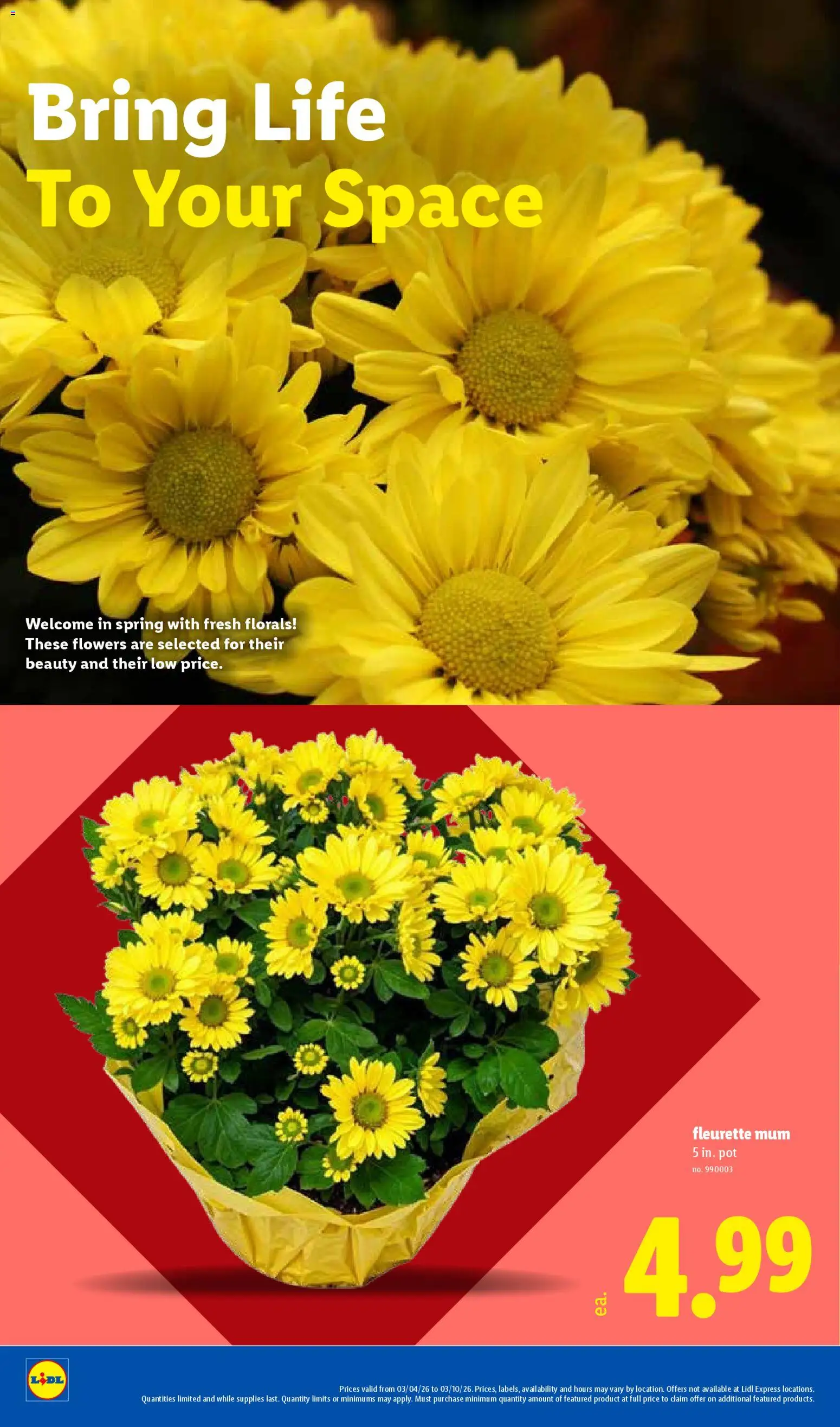 lidl - Lidl Weekly Ad - 03/04 - 03/10 2026 - page: 18