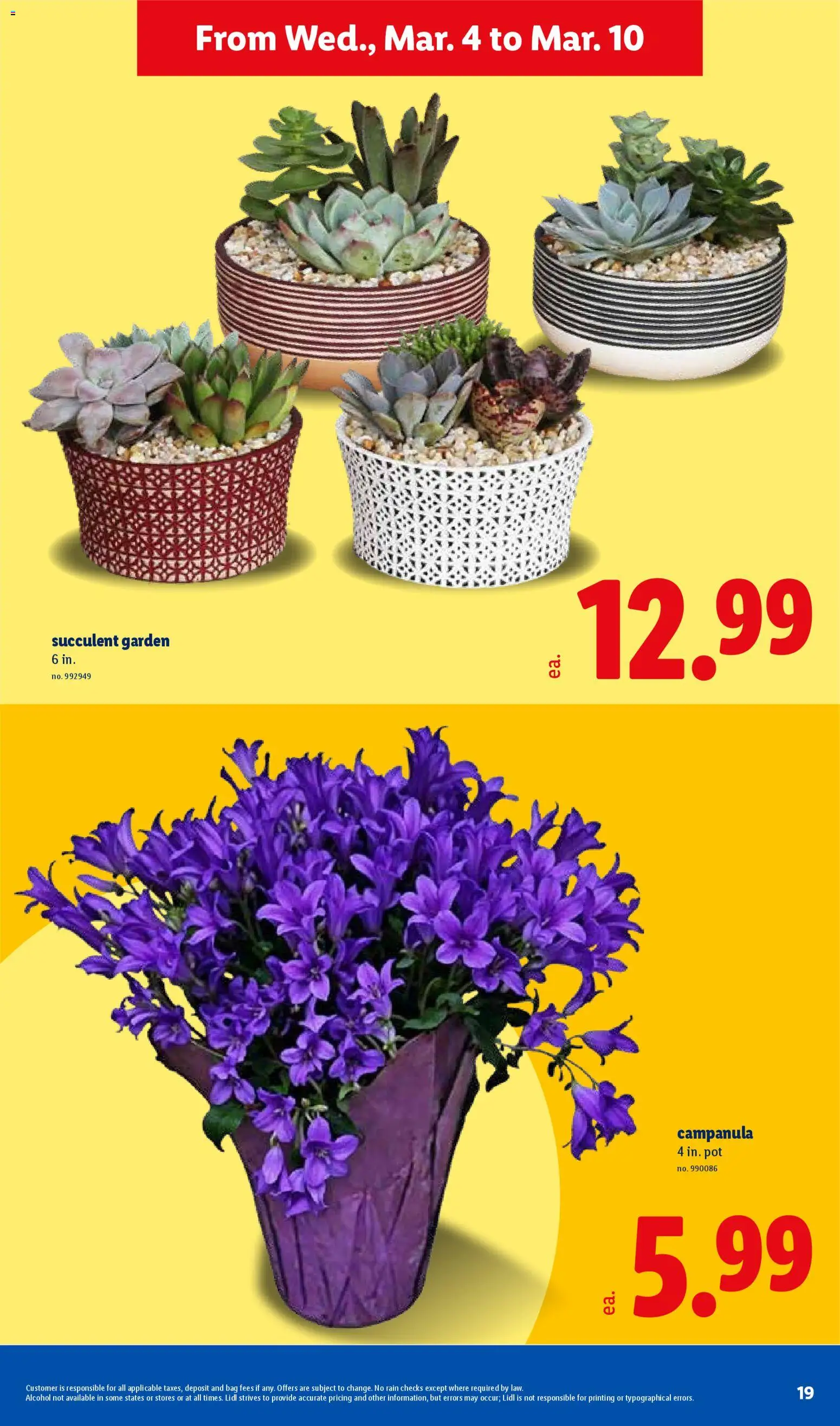 lidl - Lidl Weekly Ad - 03/04 - 03/10 2026 - page: 19