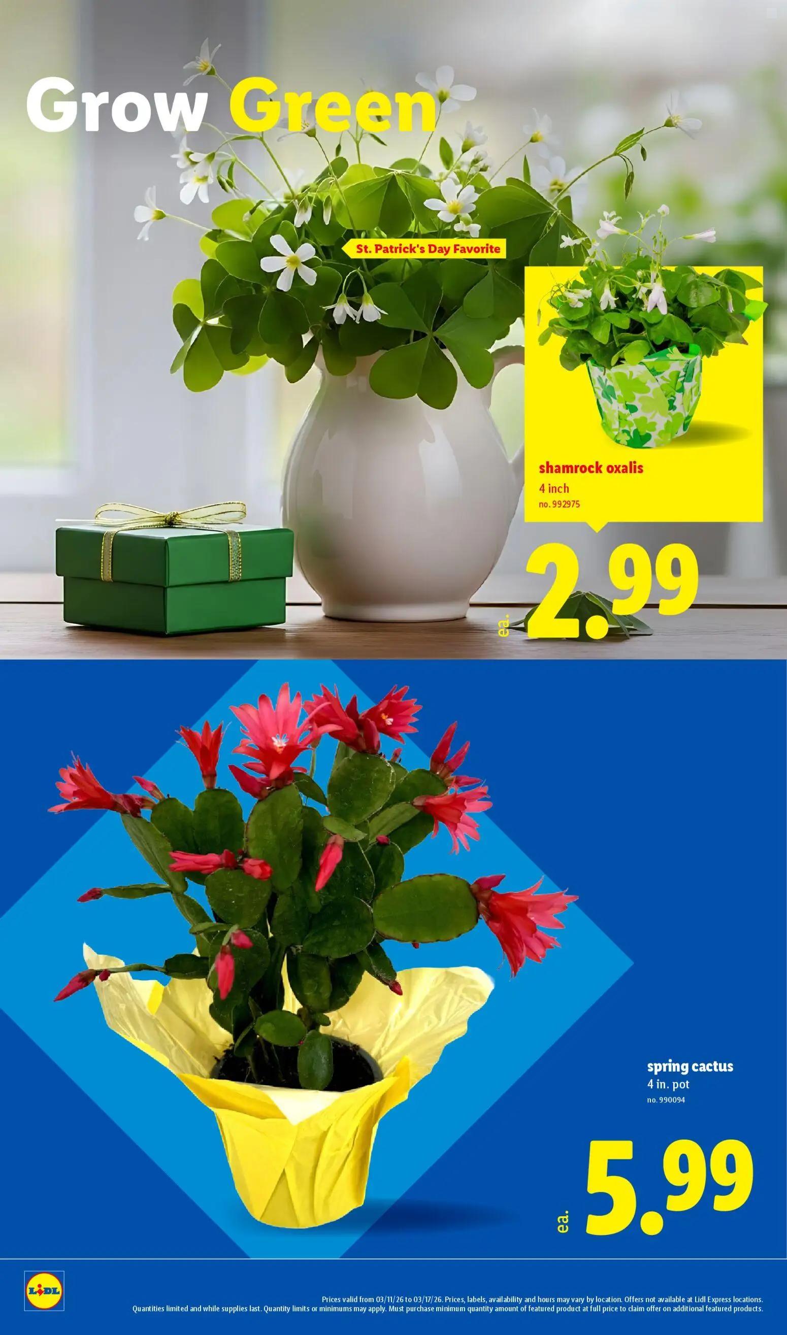 lidl - Lidl Weekly Ad - 03/11 - 03/17 2026 - page: 24