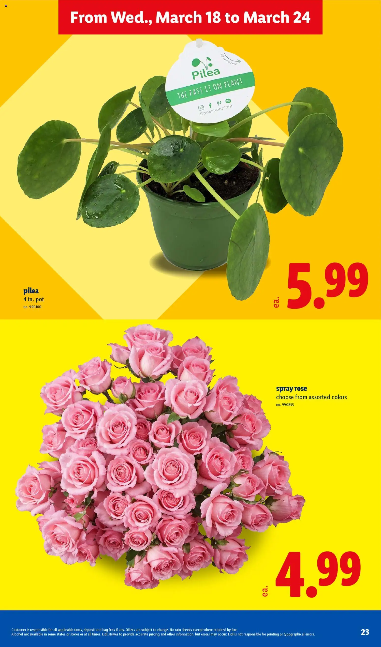 lidl - Lidl Weekly Ad - 03/18 - 03/24 2026 - page: 23