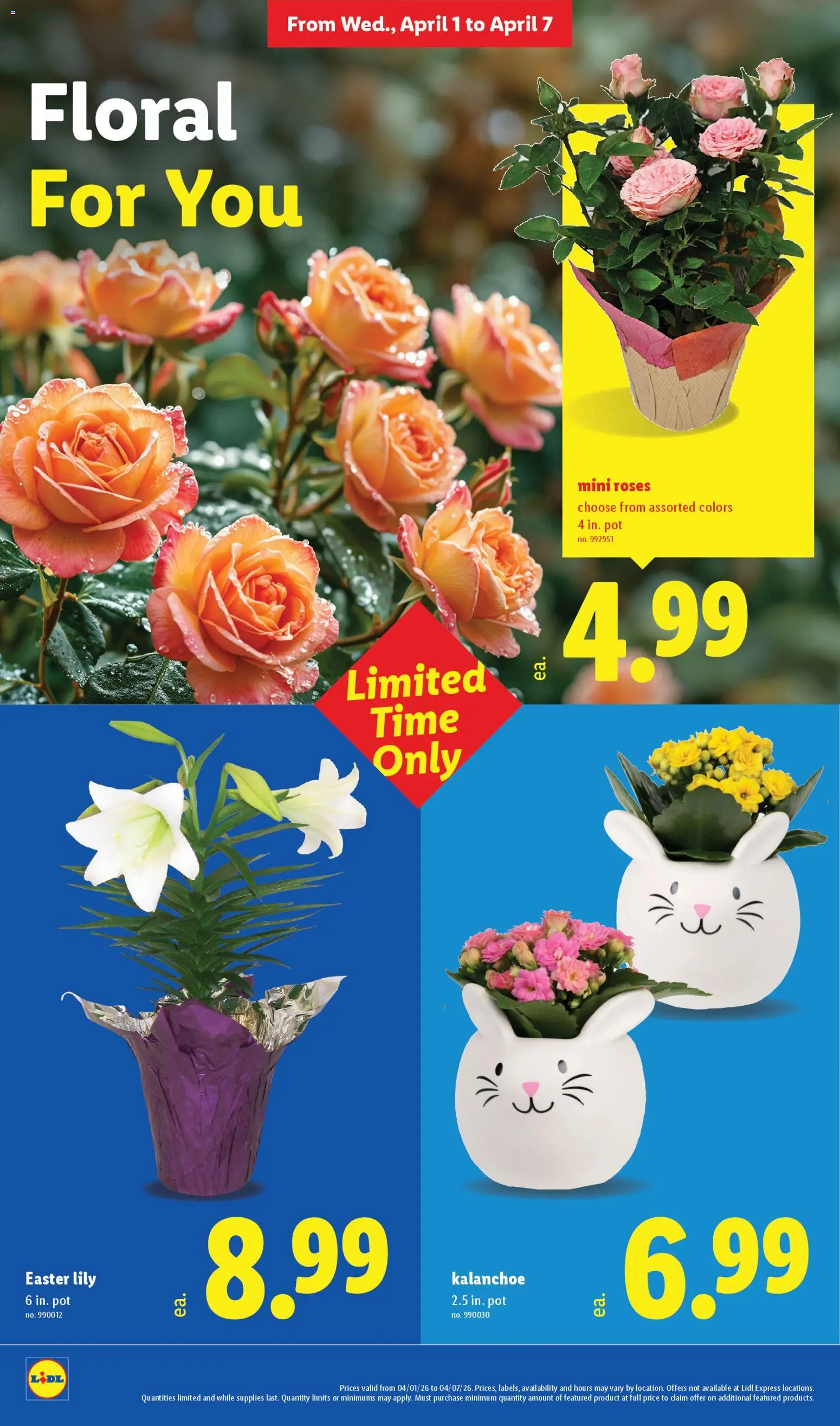 lidl - Lidl Weekly Ad - 04/01 - 05/07 2026 - page: 24