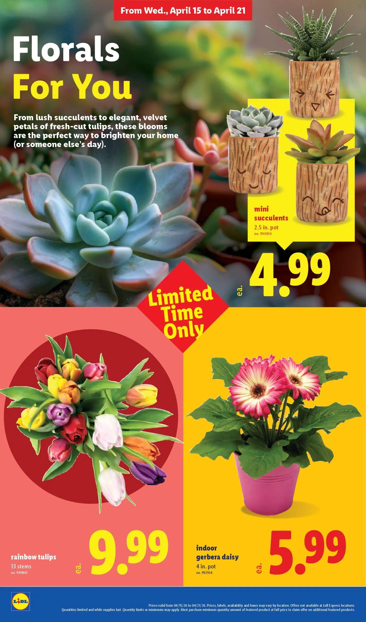 lidl - Lidl Weekly Ad - 04/15 - 04/21 2026 - page: 30