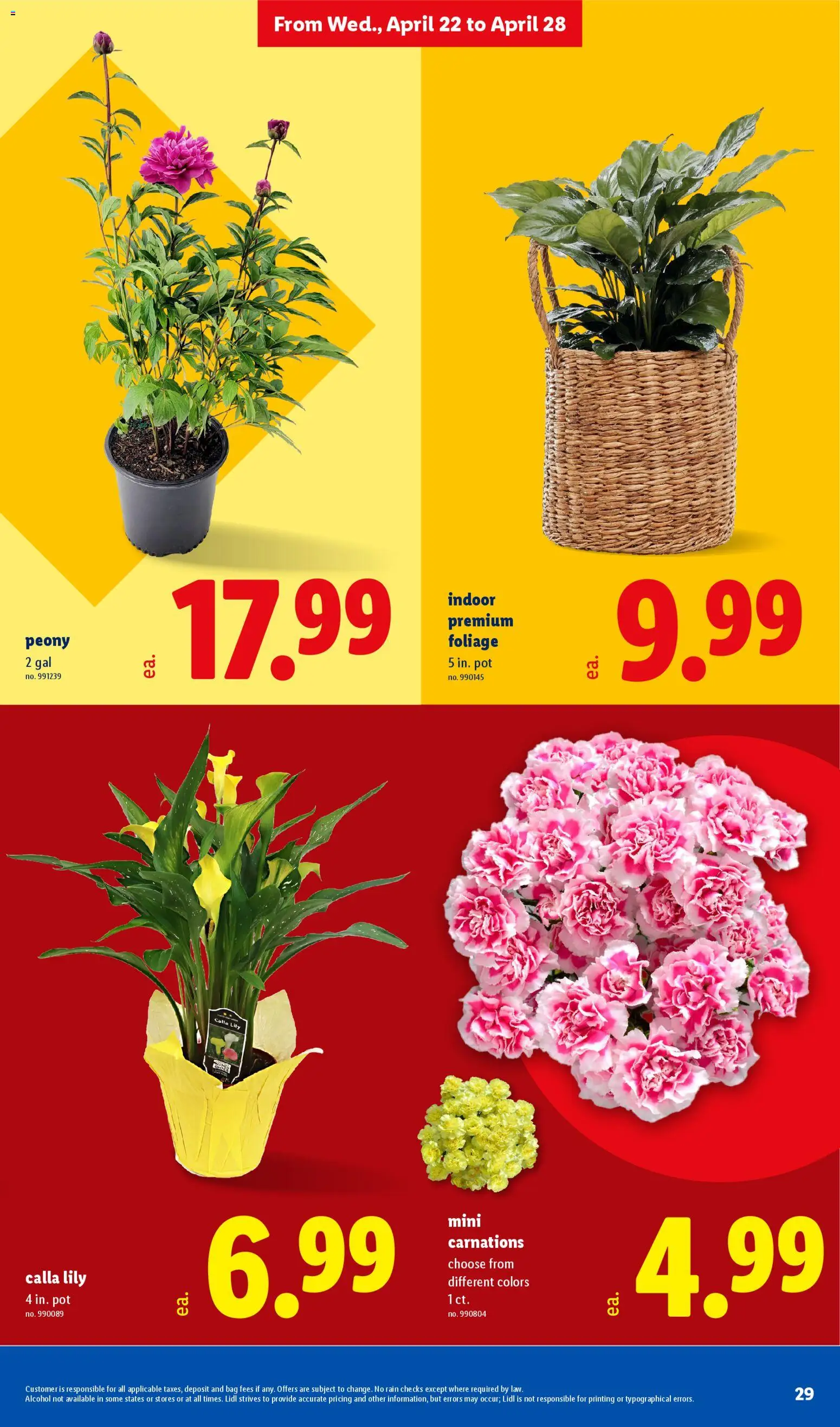 lidl - Lidl Weekly Ad - 04/22 - 04/28 2026 - page: 29
