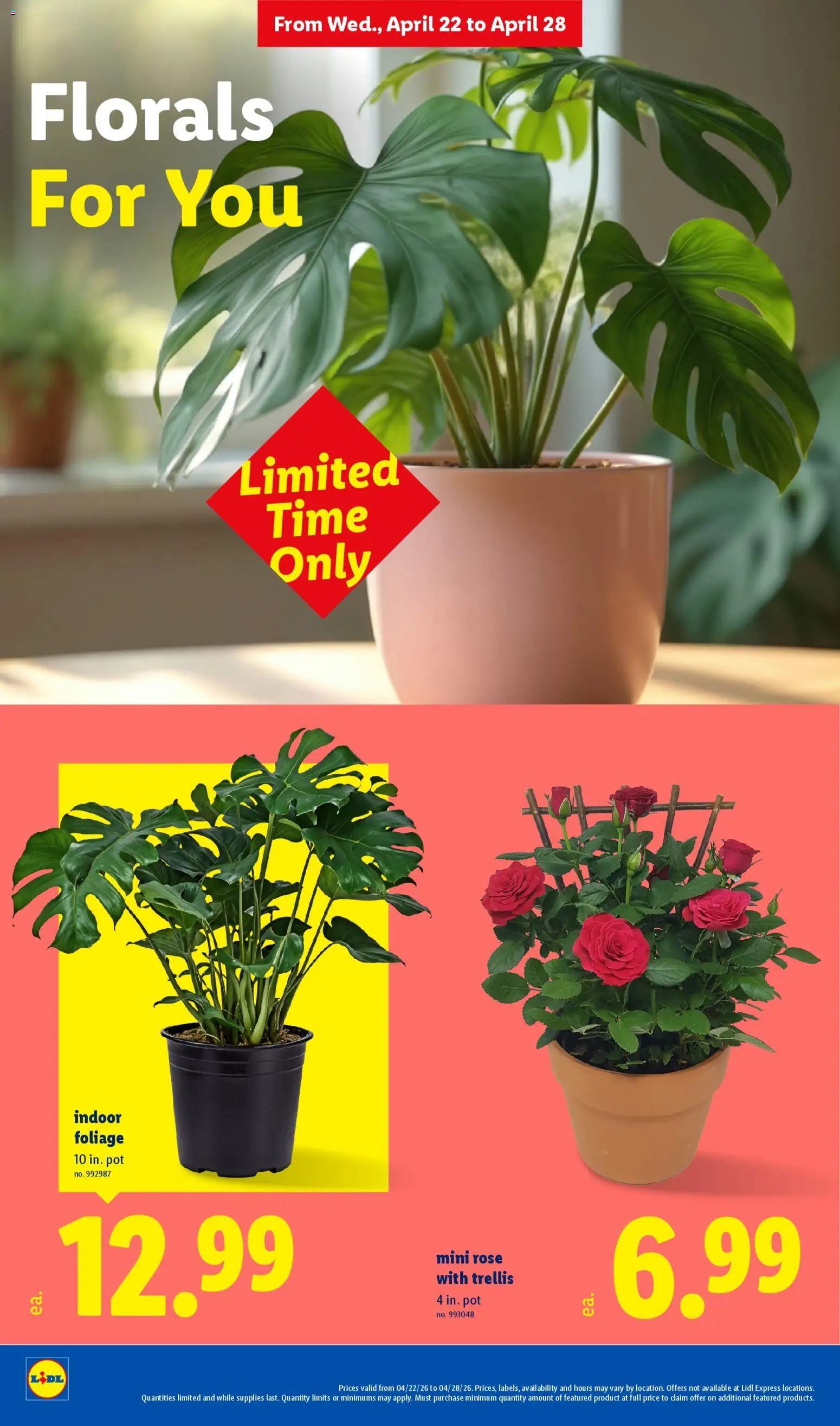 lidl - Lidl Weekly Ad - 04/22 - 04/28 2026 - page: 28