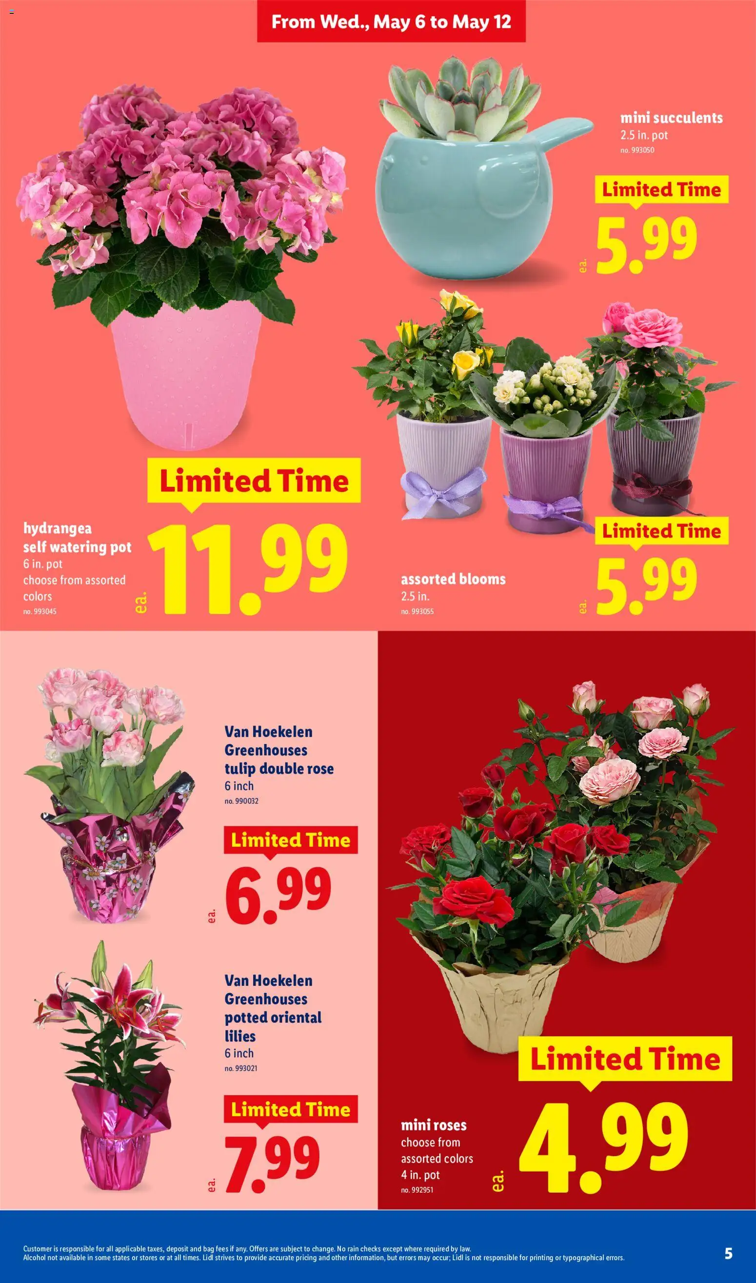 lidl - Lidl Weekly Ad - 05/06 - 05/12 2026 - page: 5