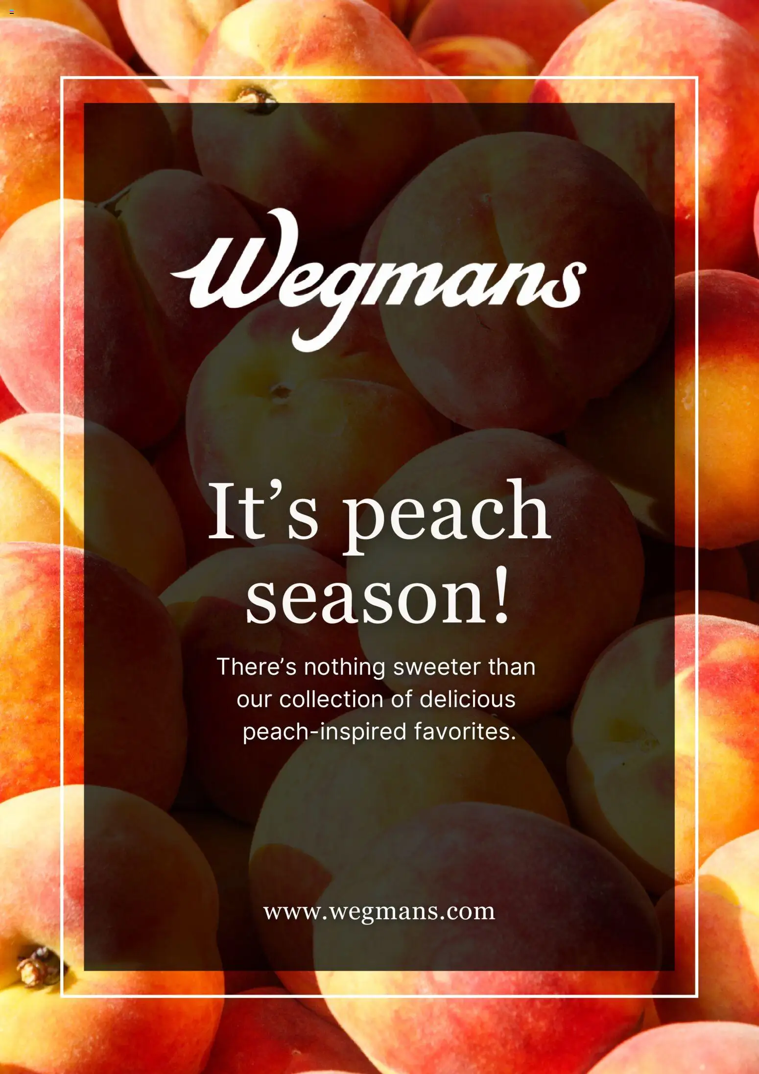 wegmans - Wegmans Weekly Ad - 08/01 - 09/01 2026 - page: 1