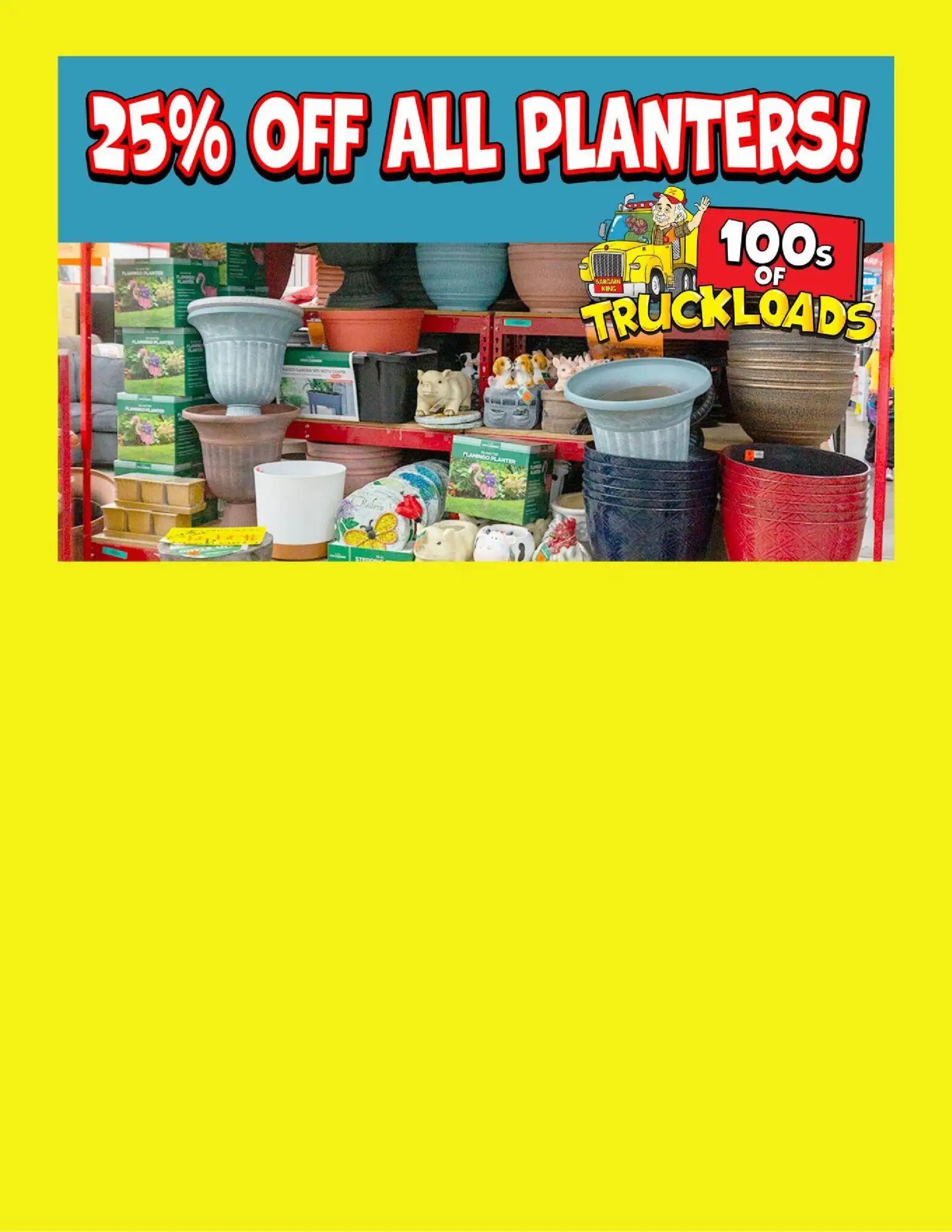 ollies - Ollie's Ad - 04/27 - 05/03 2026 - page: 3
