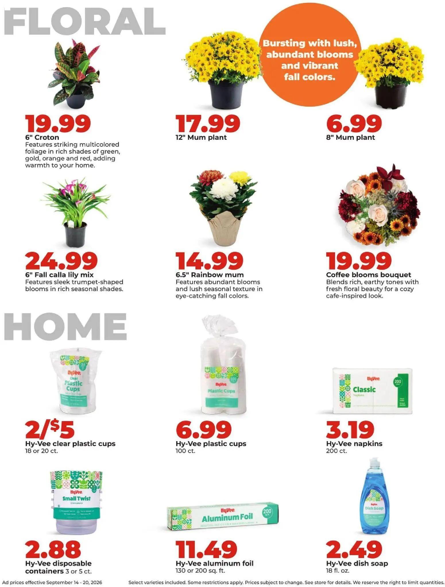hyvee - HyVee Weekly Ad - 09/14 - 09/20 2026 - page: 38