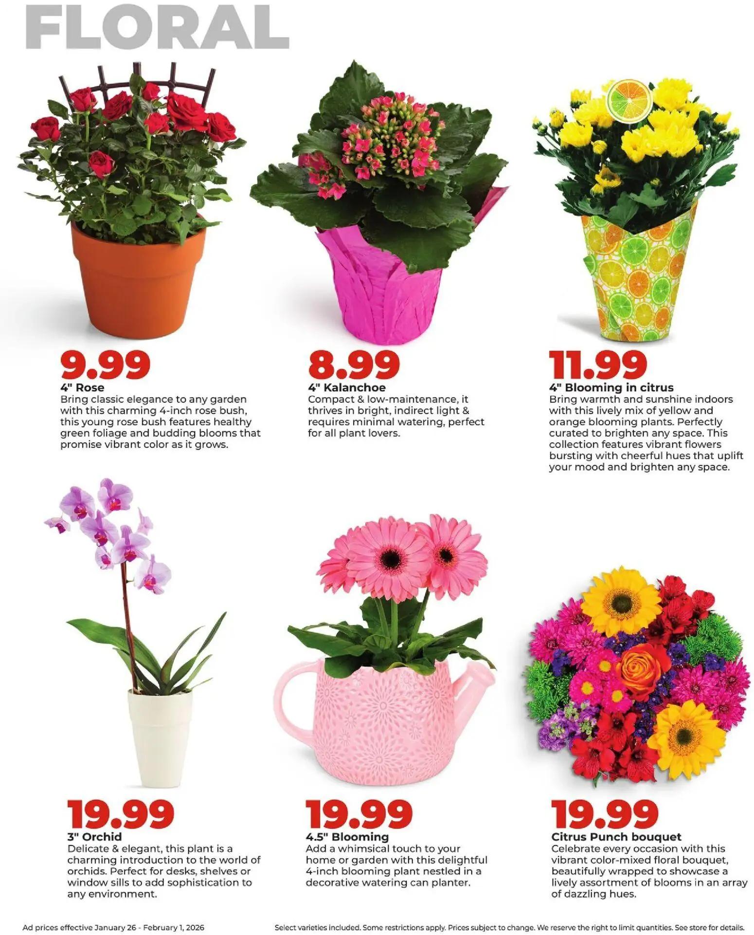 hyvee - HyVee Weekly Ad - 01/26 - 02/02 2026 - page: 34