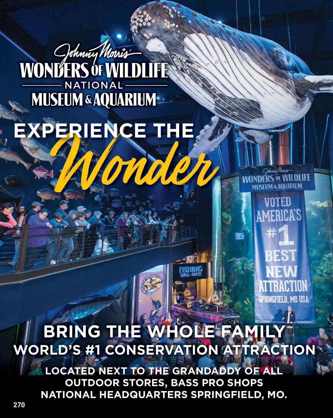 cabelas - Cabela's Saltwater Specialist 25 - from Wednesday 01/01 2025 - page: 270